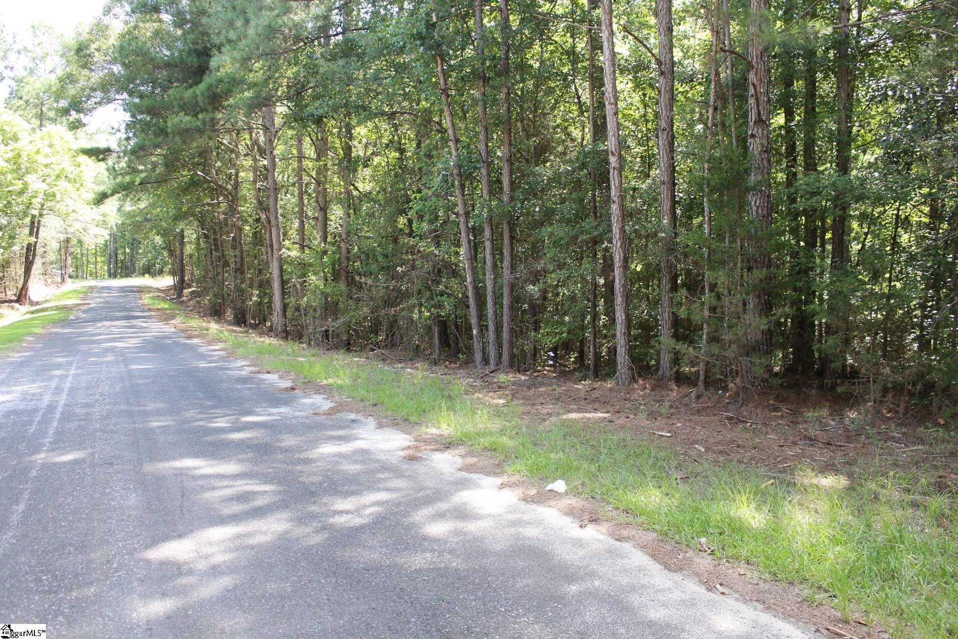 000 Coleman, Clinton, South Carolina image 4