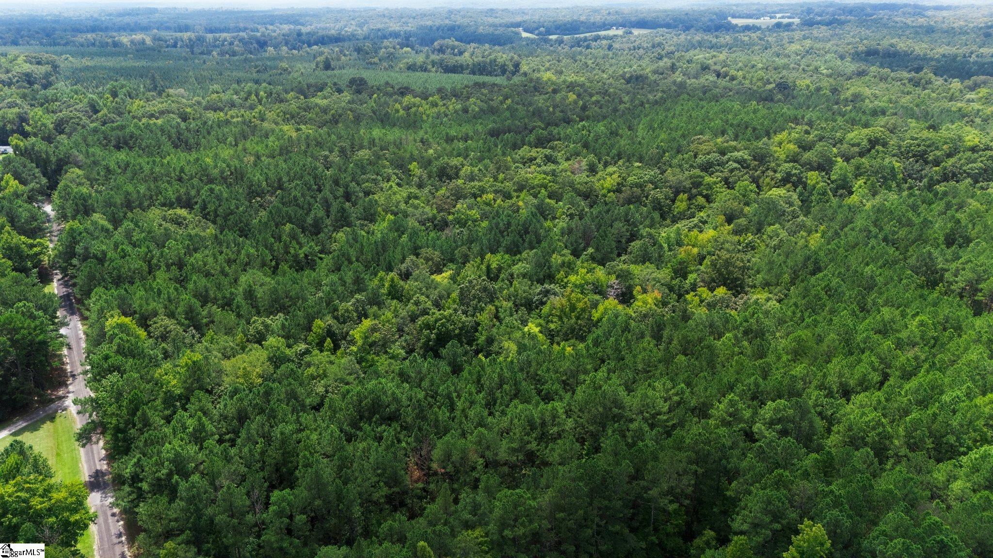 000 Coleman, Clinton, South Carolina image 33