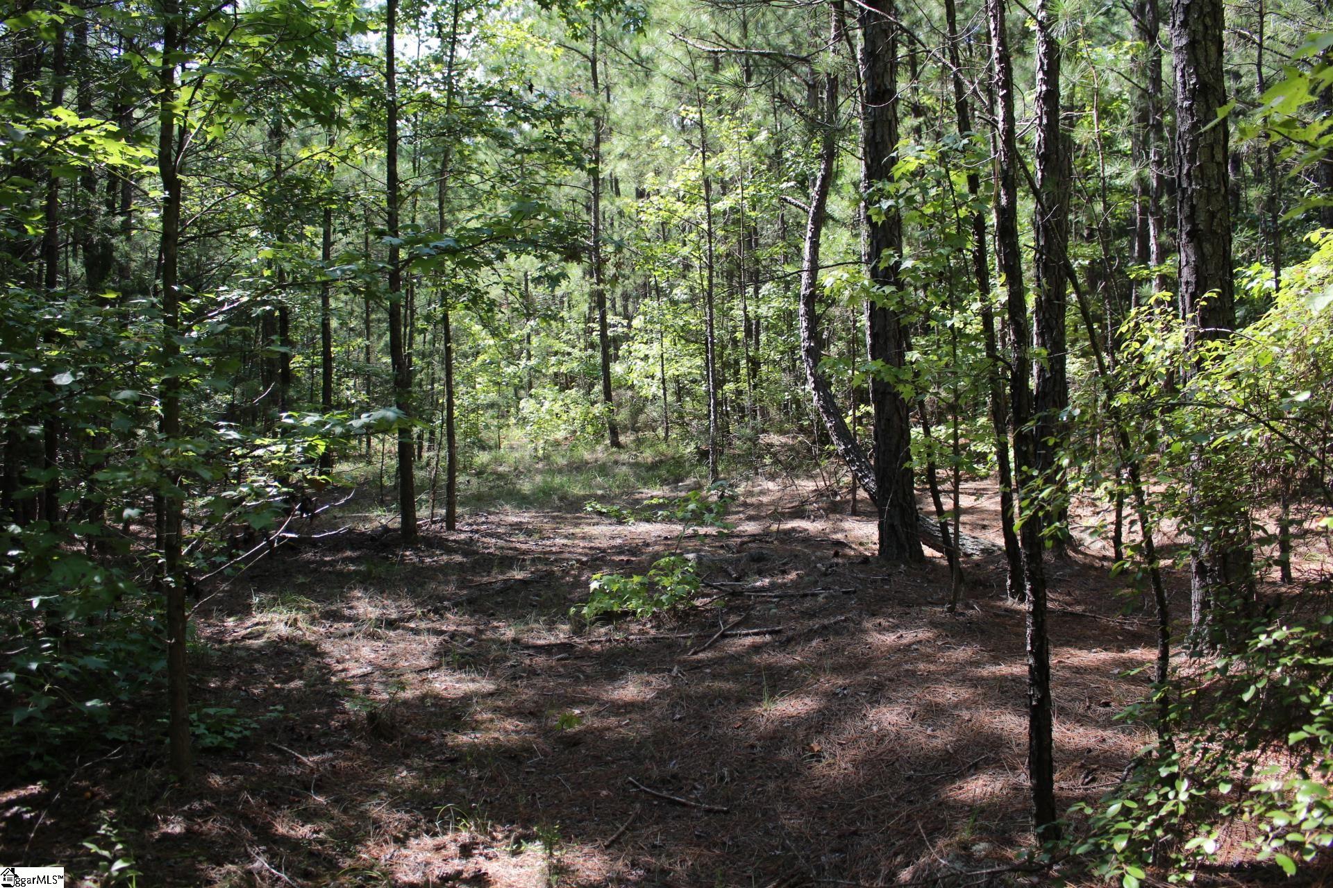000 Coleman, Clinton, South Carolina image 6