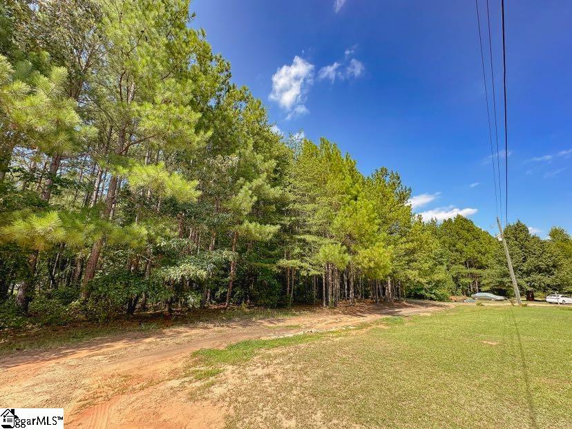118 Genell, Easley, South Carolina image 4