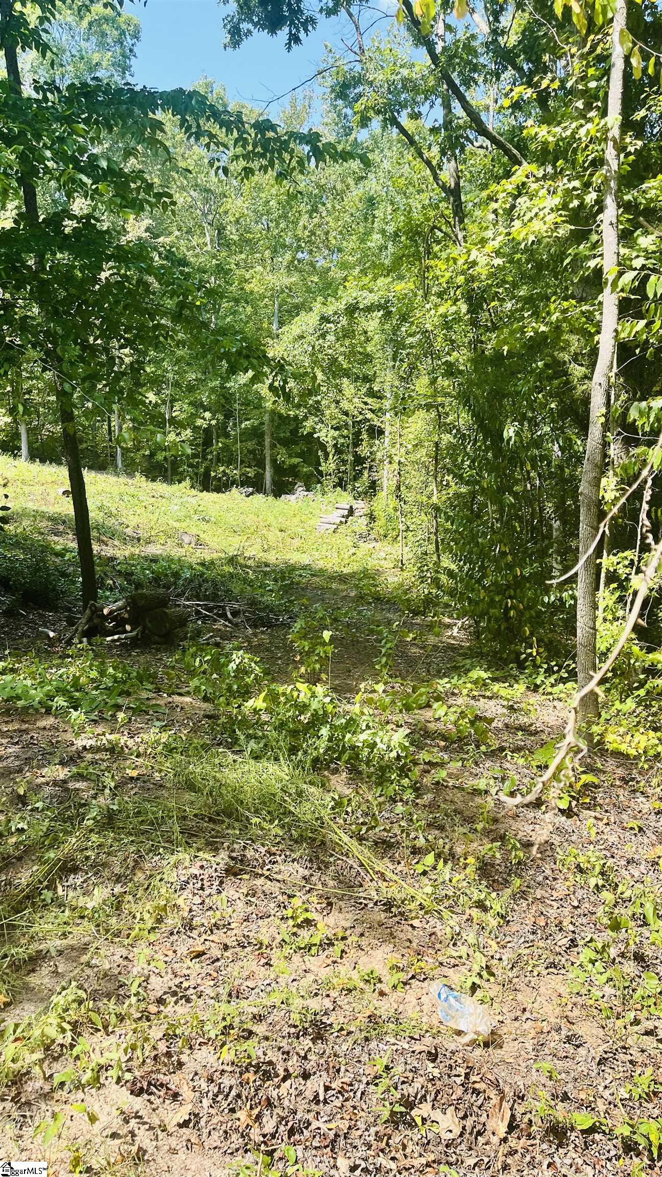 106 Thorn Ridge, Pelzer, South Carolina image 6