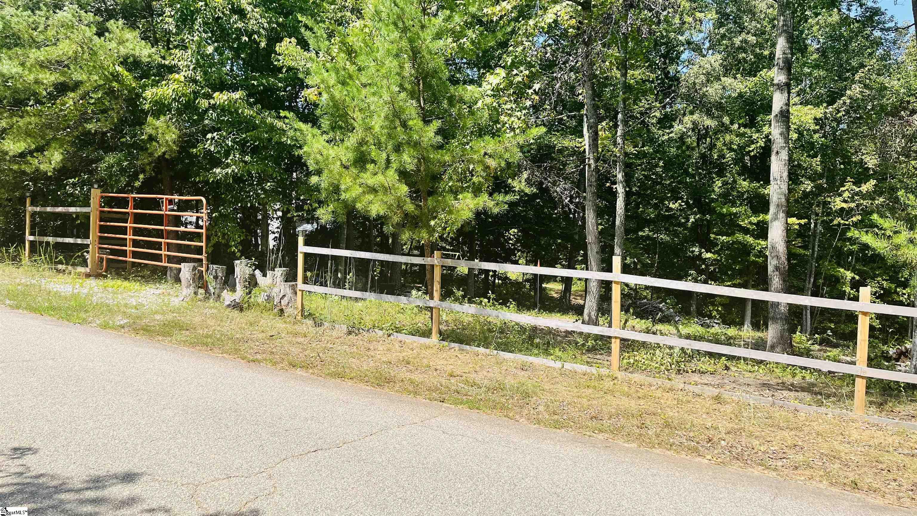 106 Thorn Ridge, Pelzer, South Carolina image 7