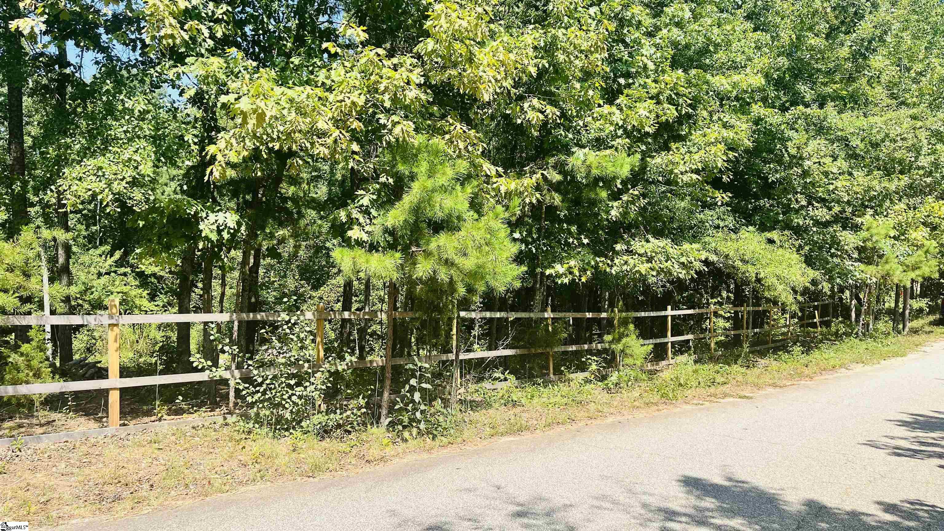 106 Thorn Ridge, Pelzer, South Carolina image 8