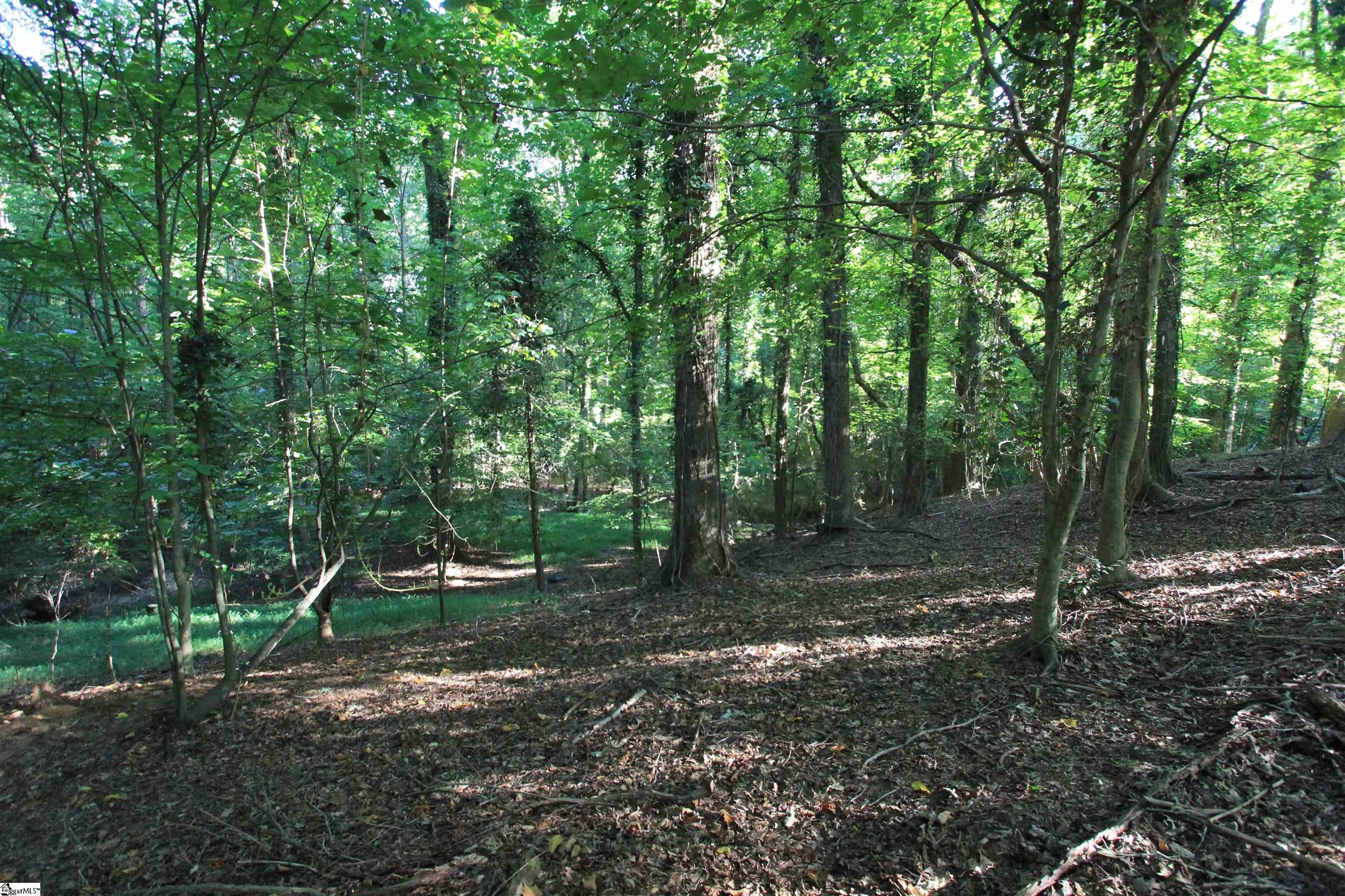 Maple, Woodruff, South Carolina image 1