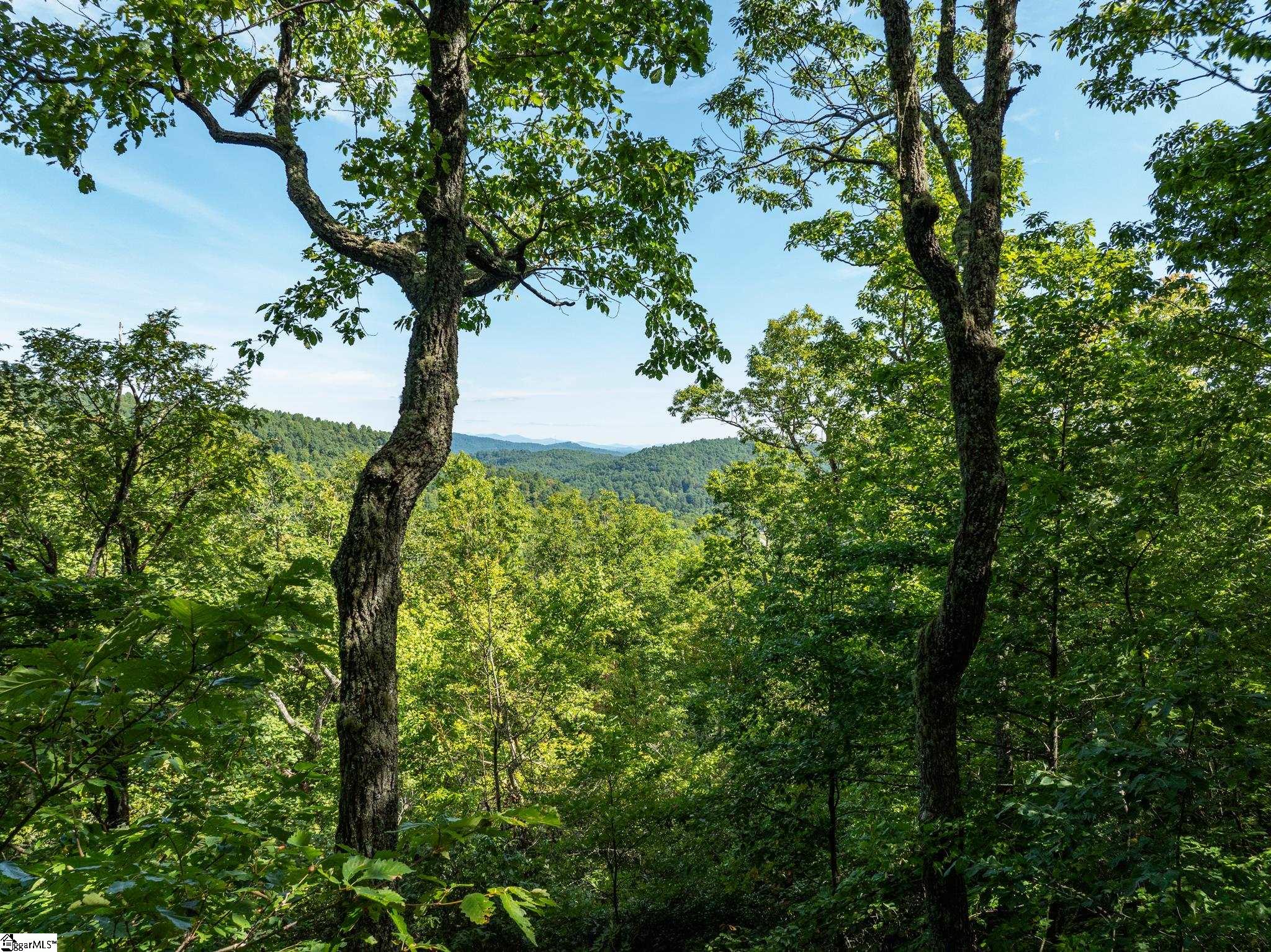 Panther Mountain, Zirconia, North Carolina image 1