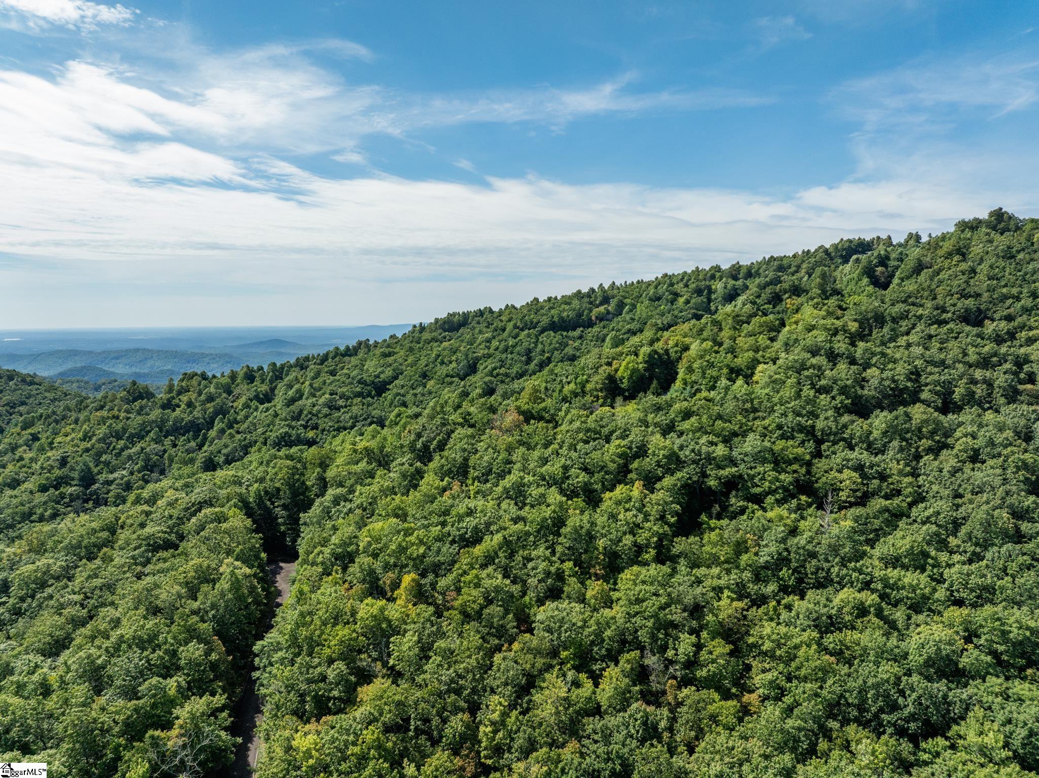 Panther Mountain, Zirconia, North Carolina image 11