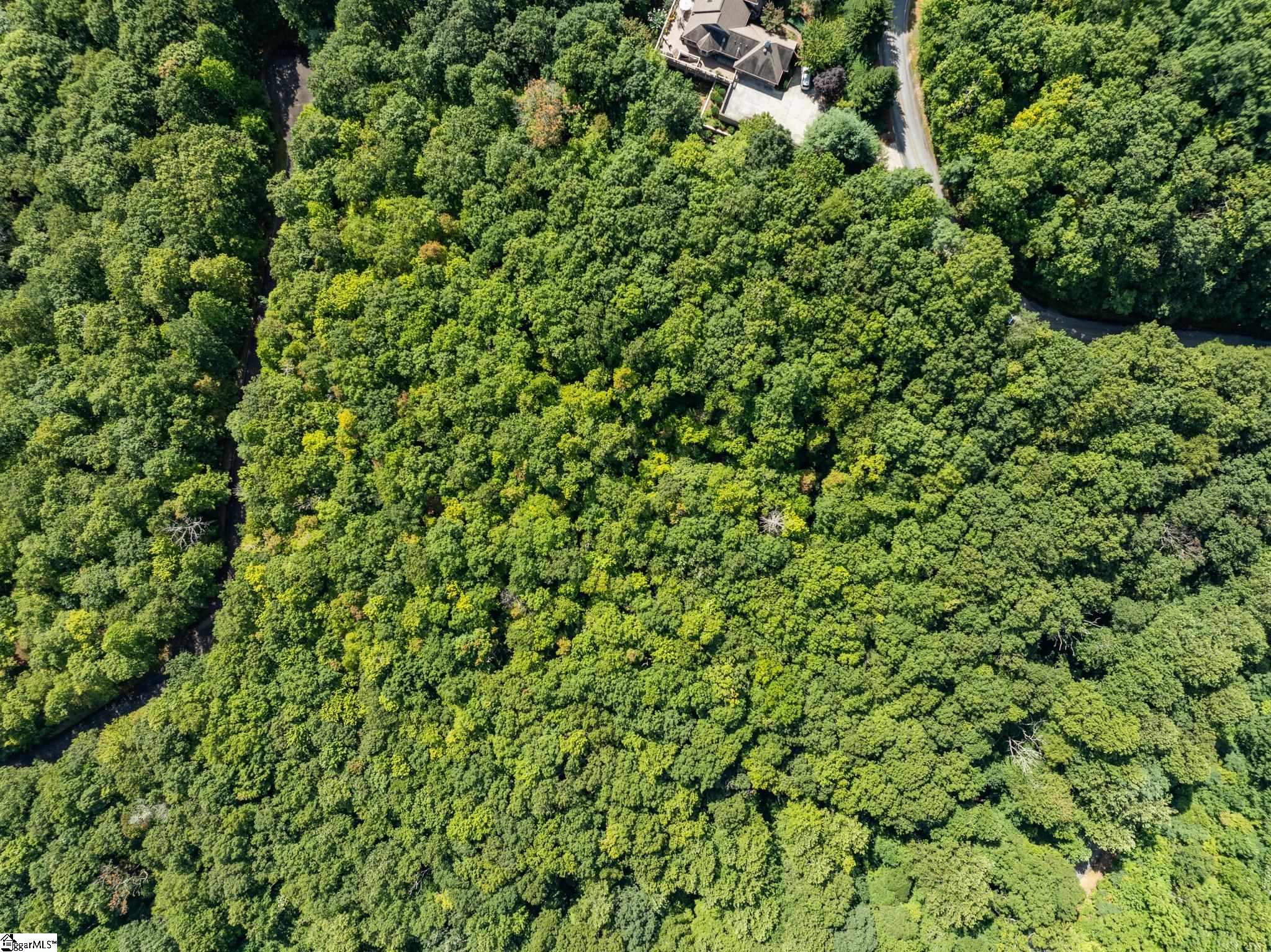 Panther Mountain, Zirconia, North Carolina image 13