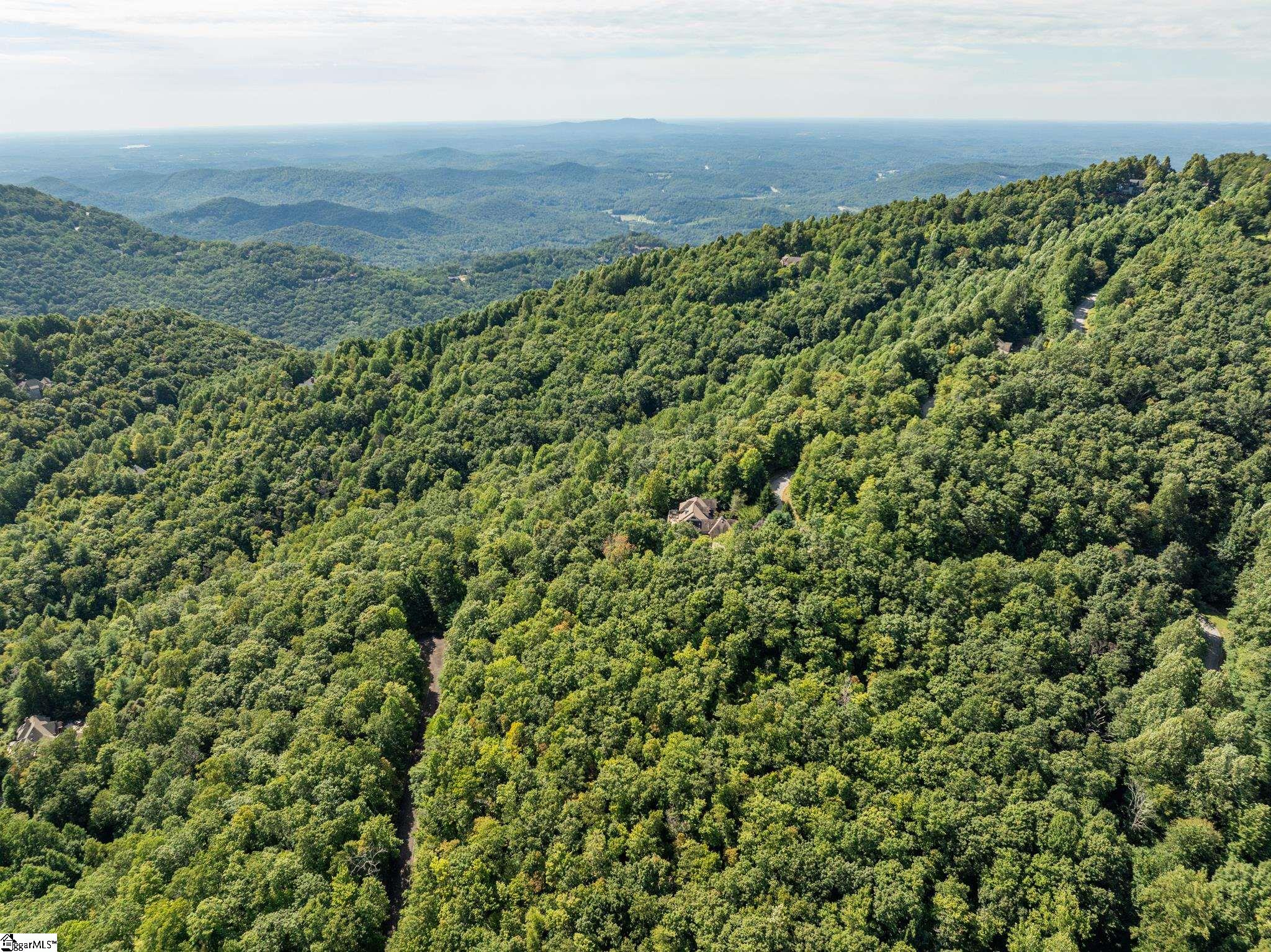 Panther Mountain, Zirconia, North Carolina image 14
