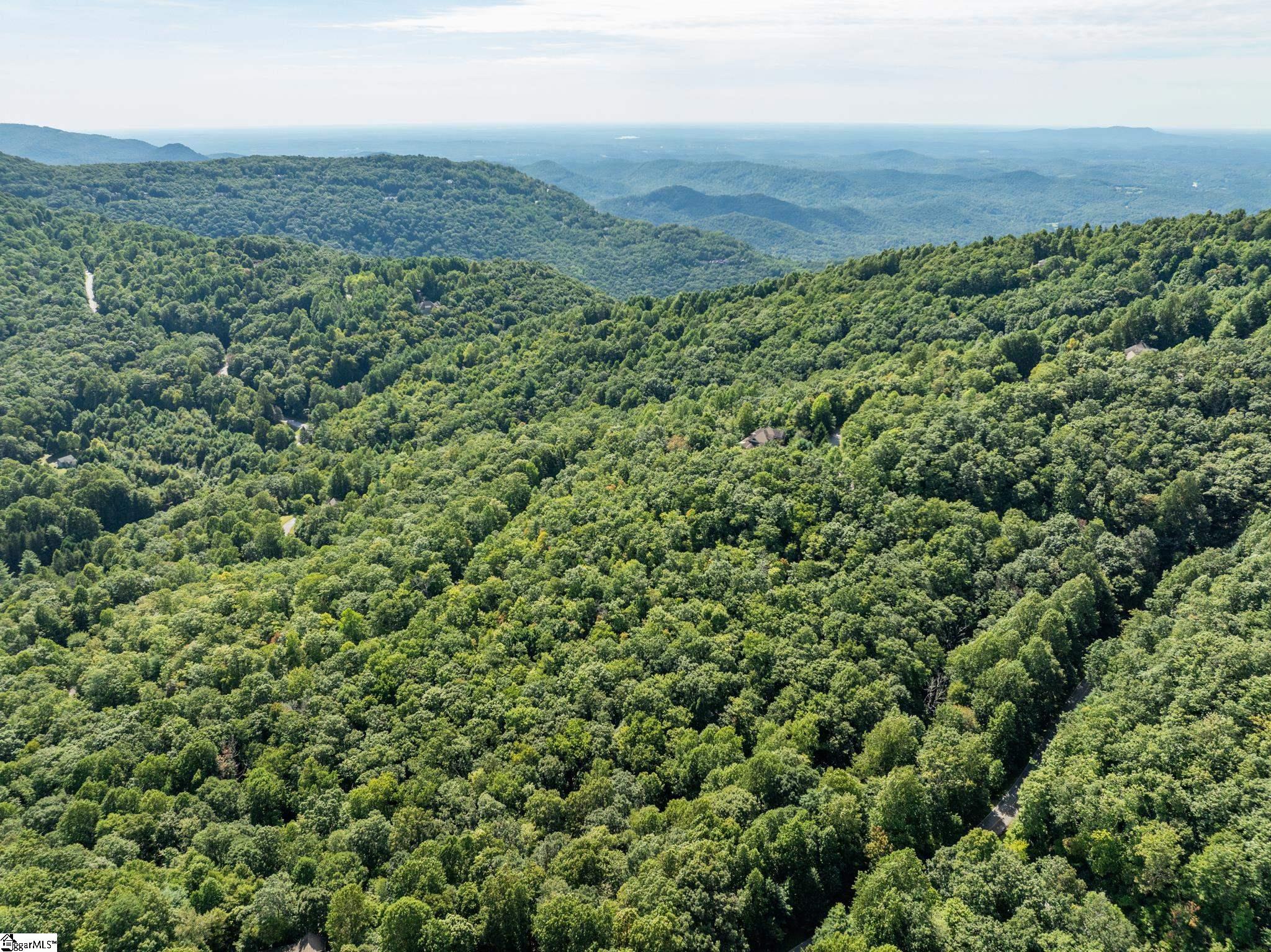 Panther Mountain, Zirconia, North Carolina image 15