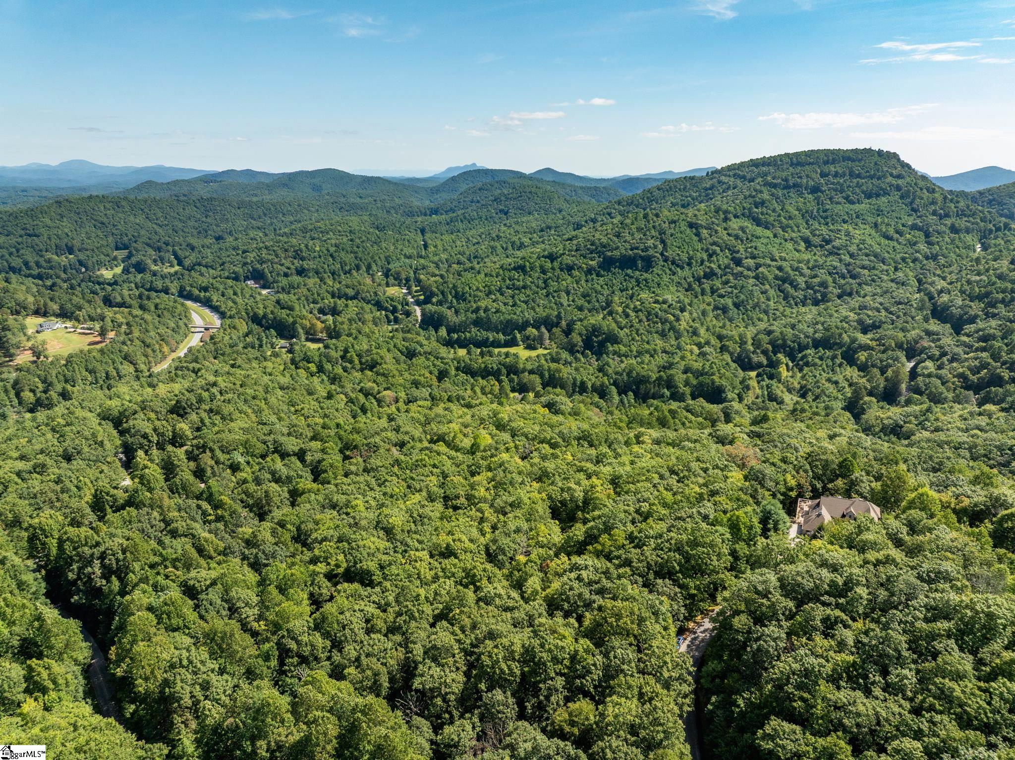 Panther Mountain, Zirconia, North Carolina image 16