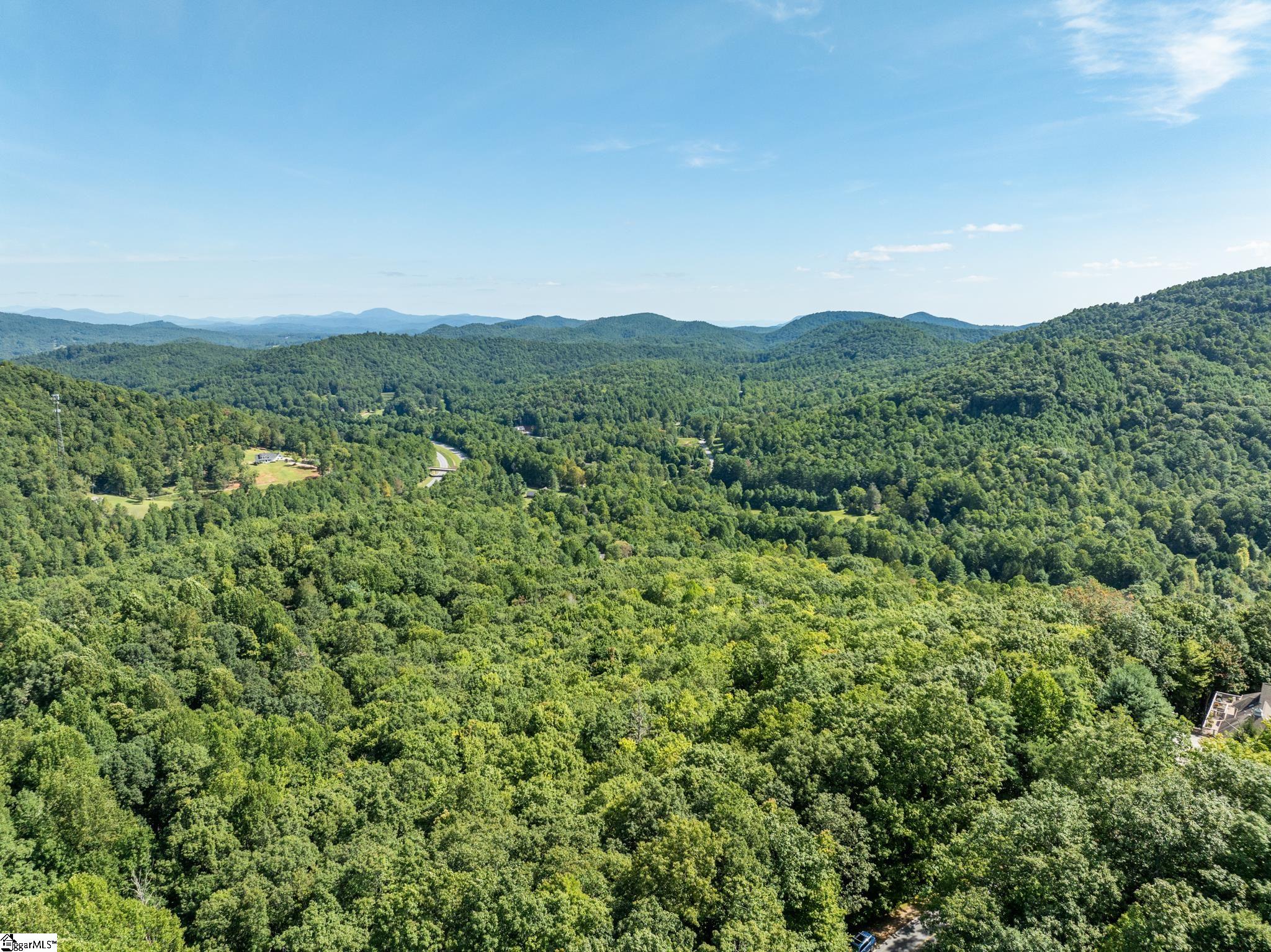 Panther Mountain, Zirconia, North Carolina image 17