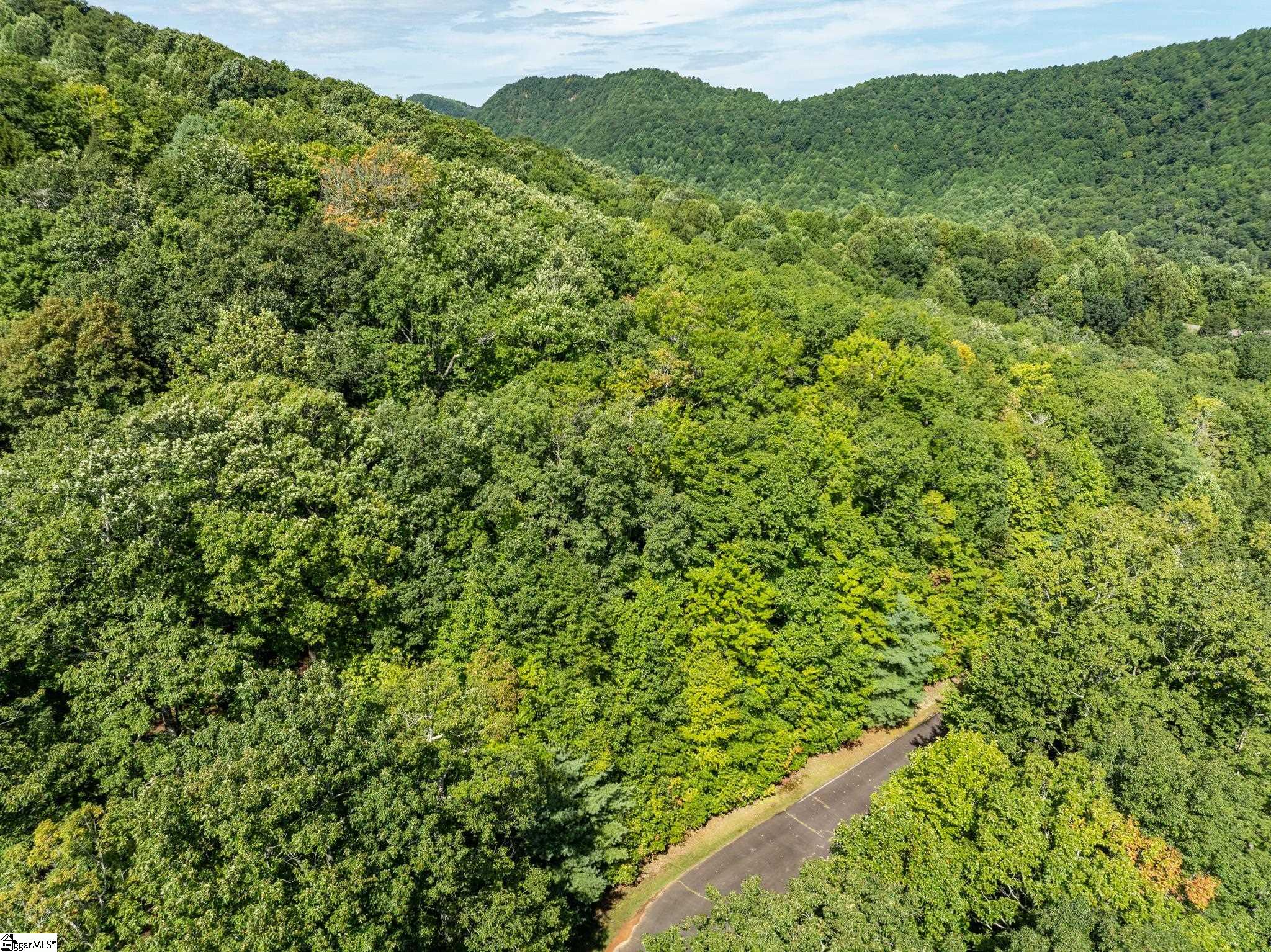 Panther Mountain, Zirconia, North Carolina image 18