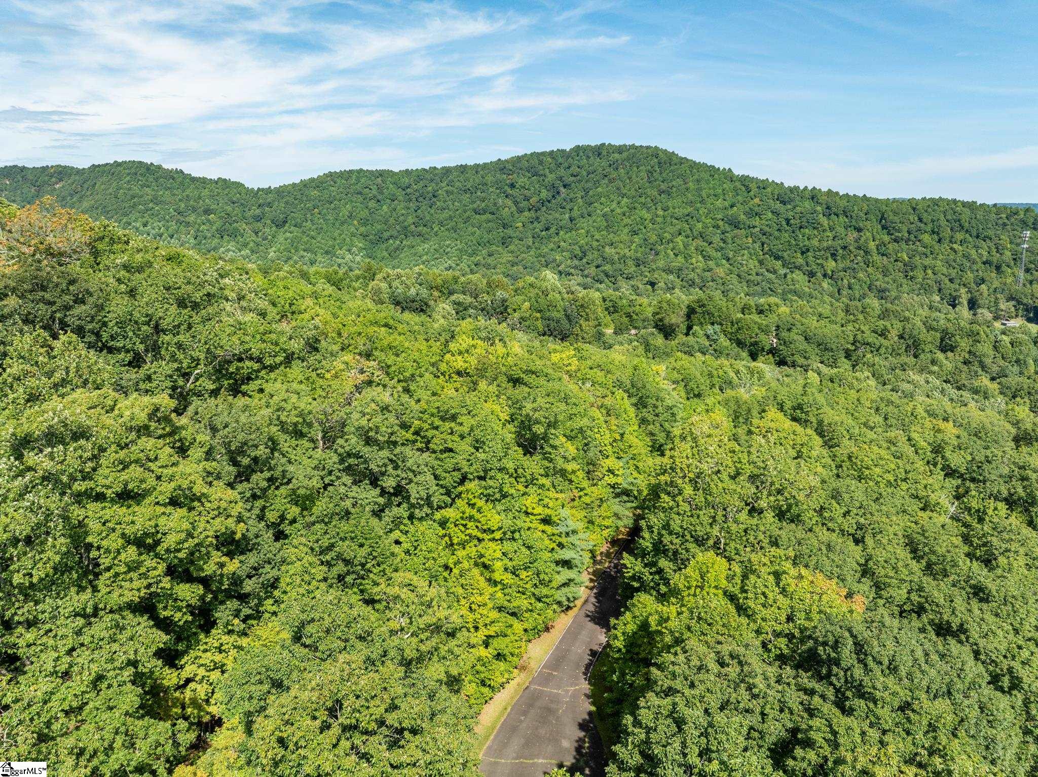 Panther Mountain, Zirconia, North Carolina image 19