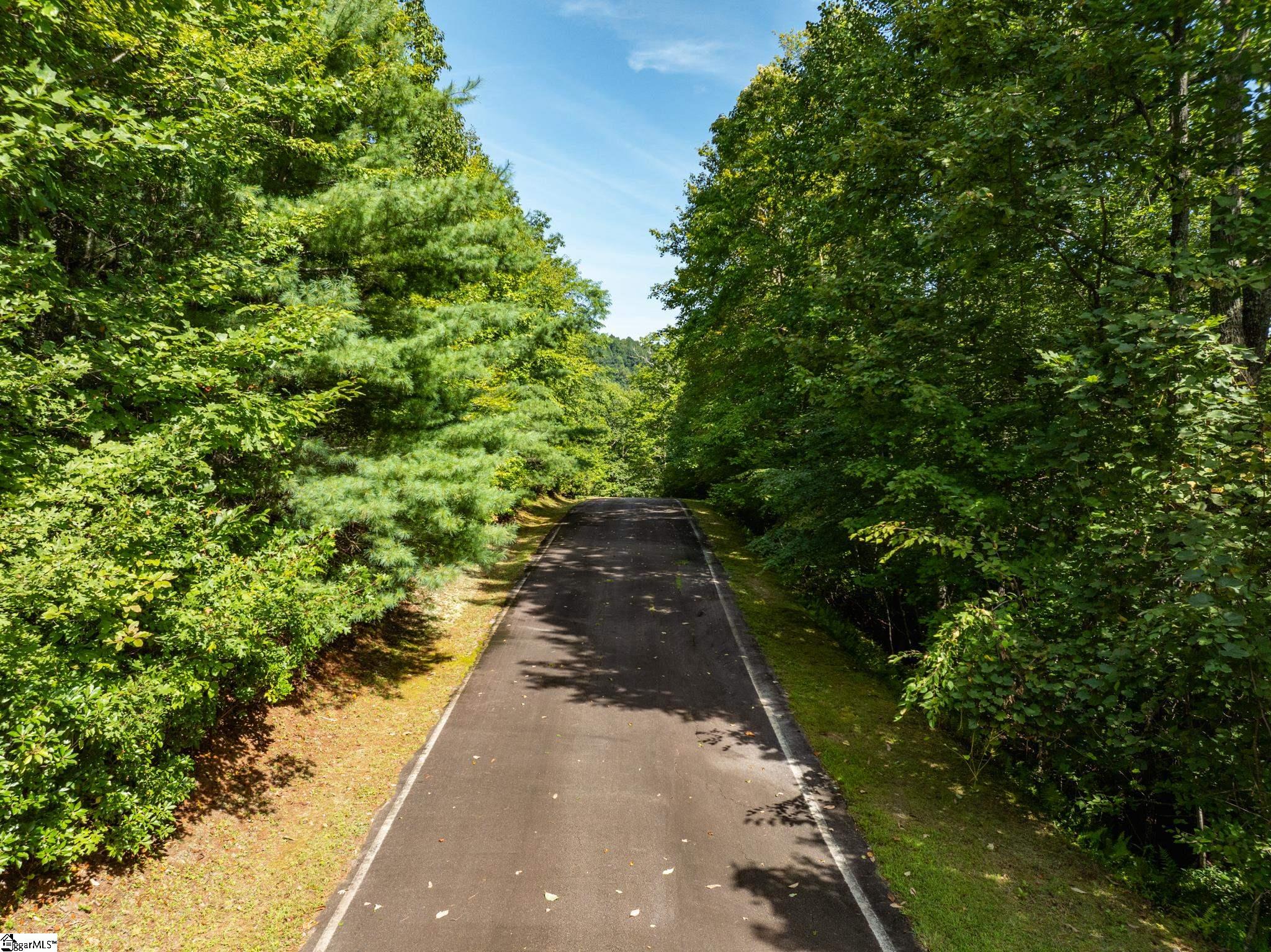 Panther Mountain, Zirconia, North Carolina image 20