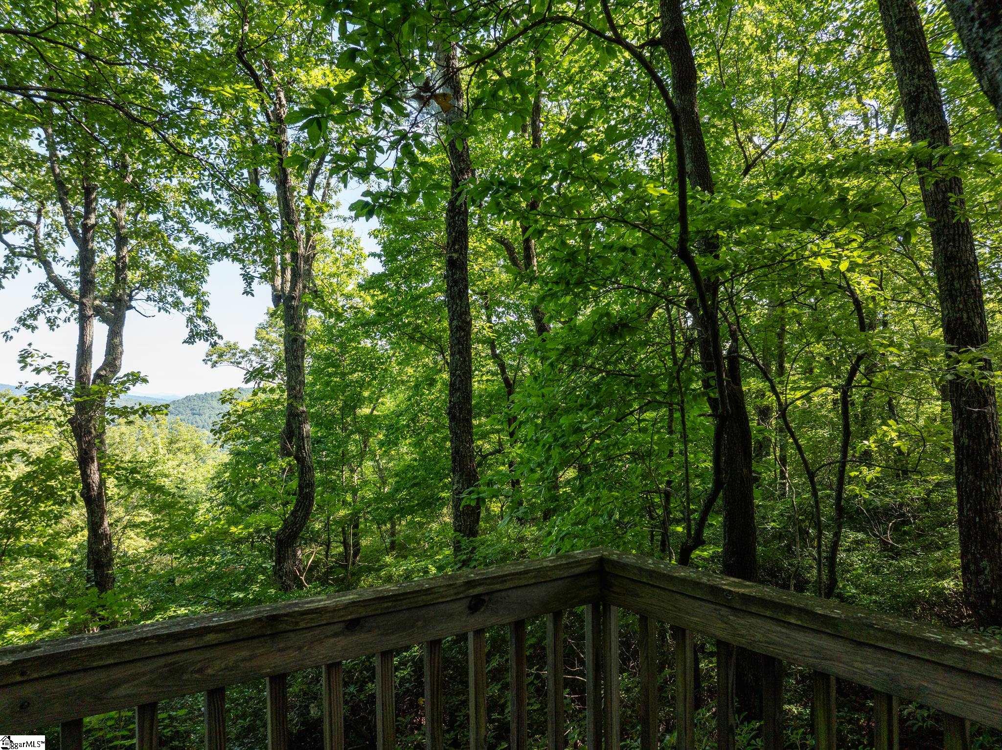 Panther Mountain, Zirconia, North Carolina image 3