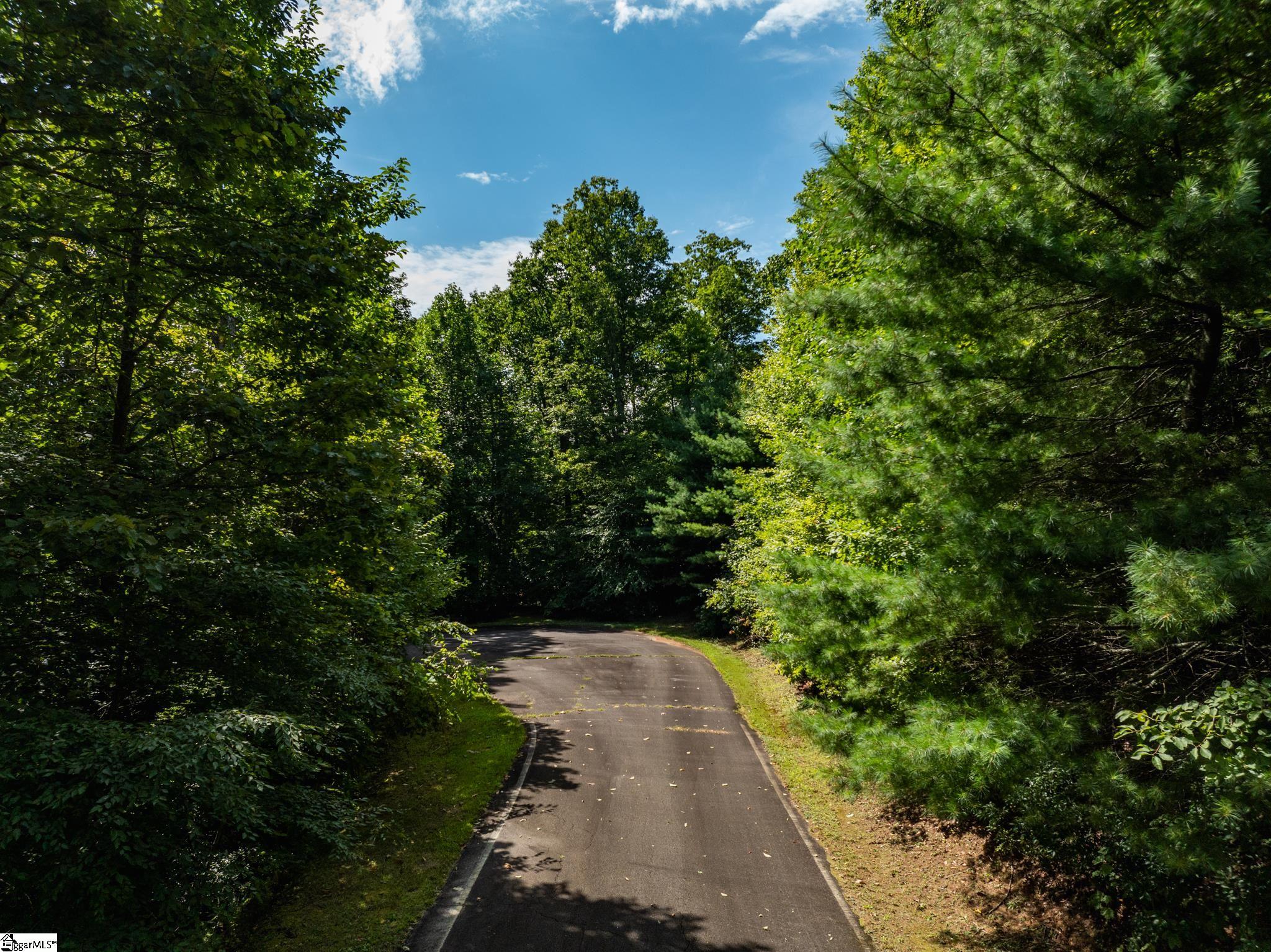 Panther Mountain, Zirconia, North Carolina image 21