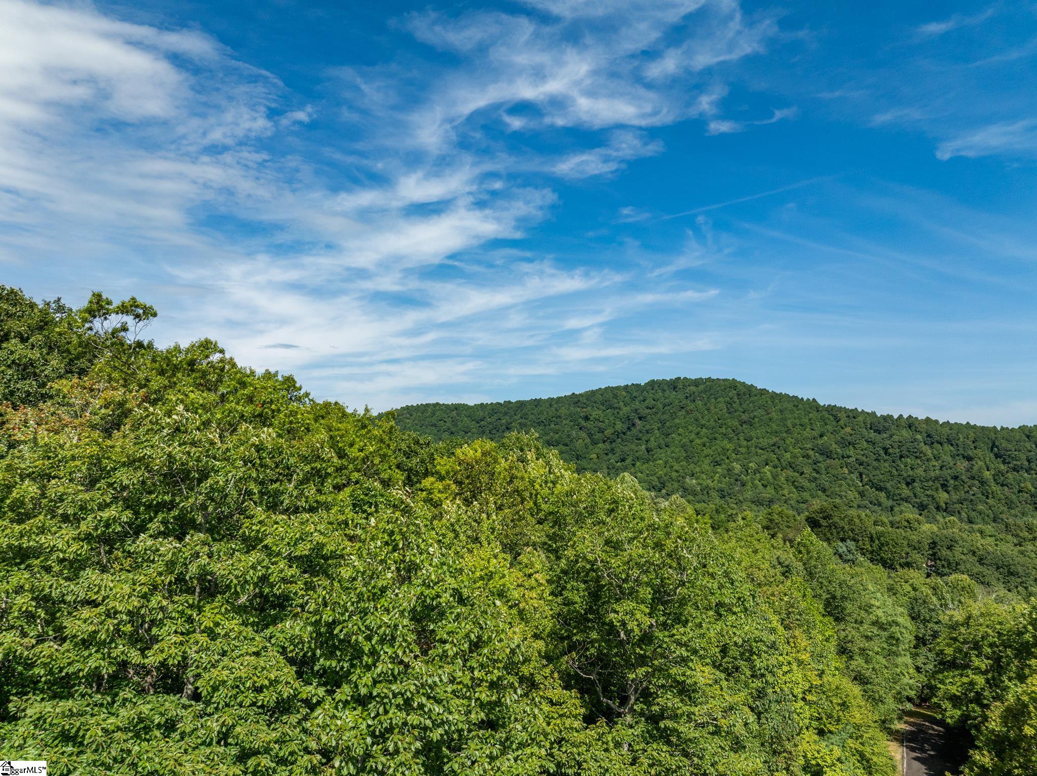 Panther Mountain, Zirconia, North Carolina image 22