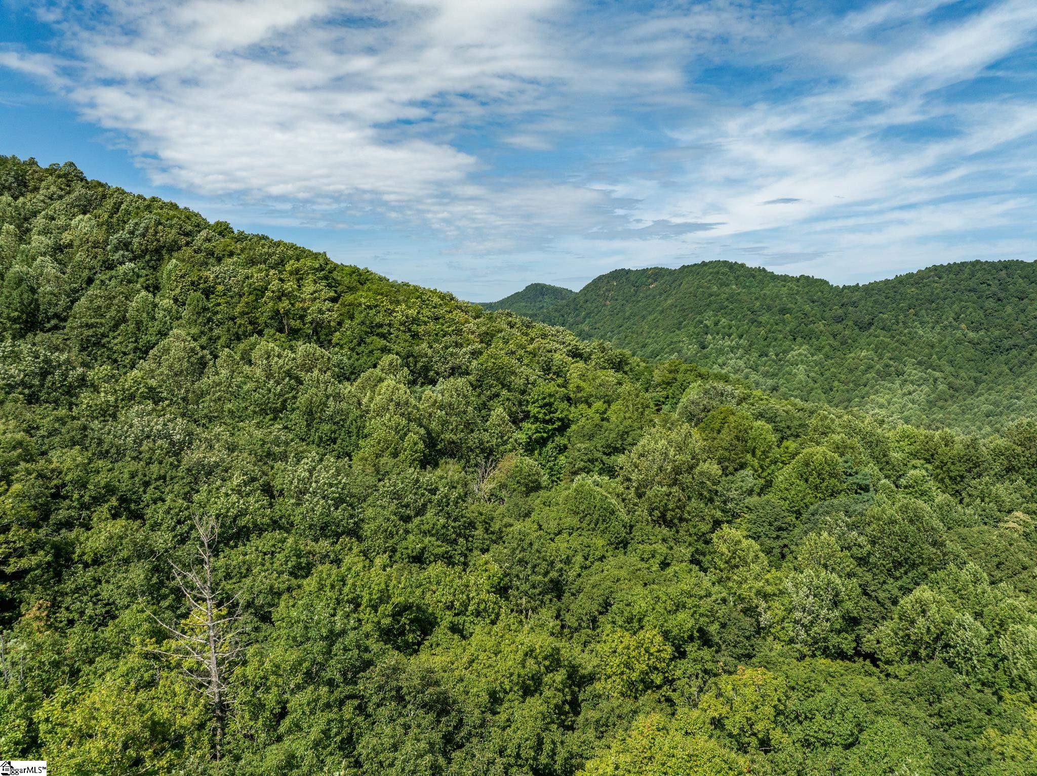 Panther Mountain, Zirconia, North Carolina image 23
