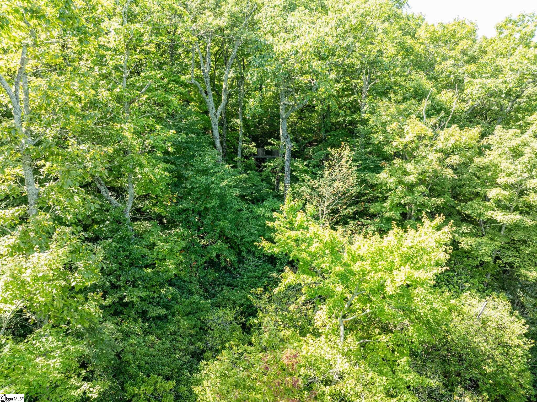 Panther Mountain, Zirconia, North Carolina image 24