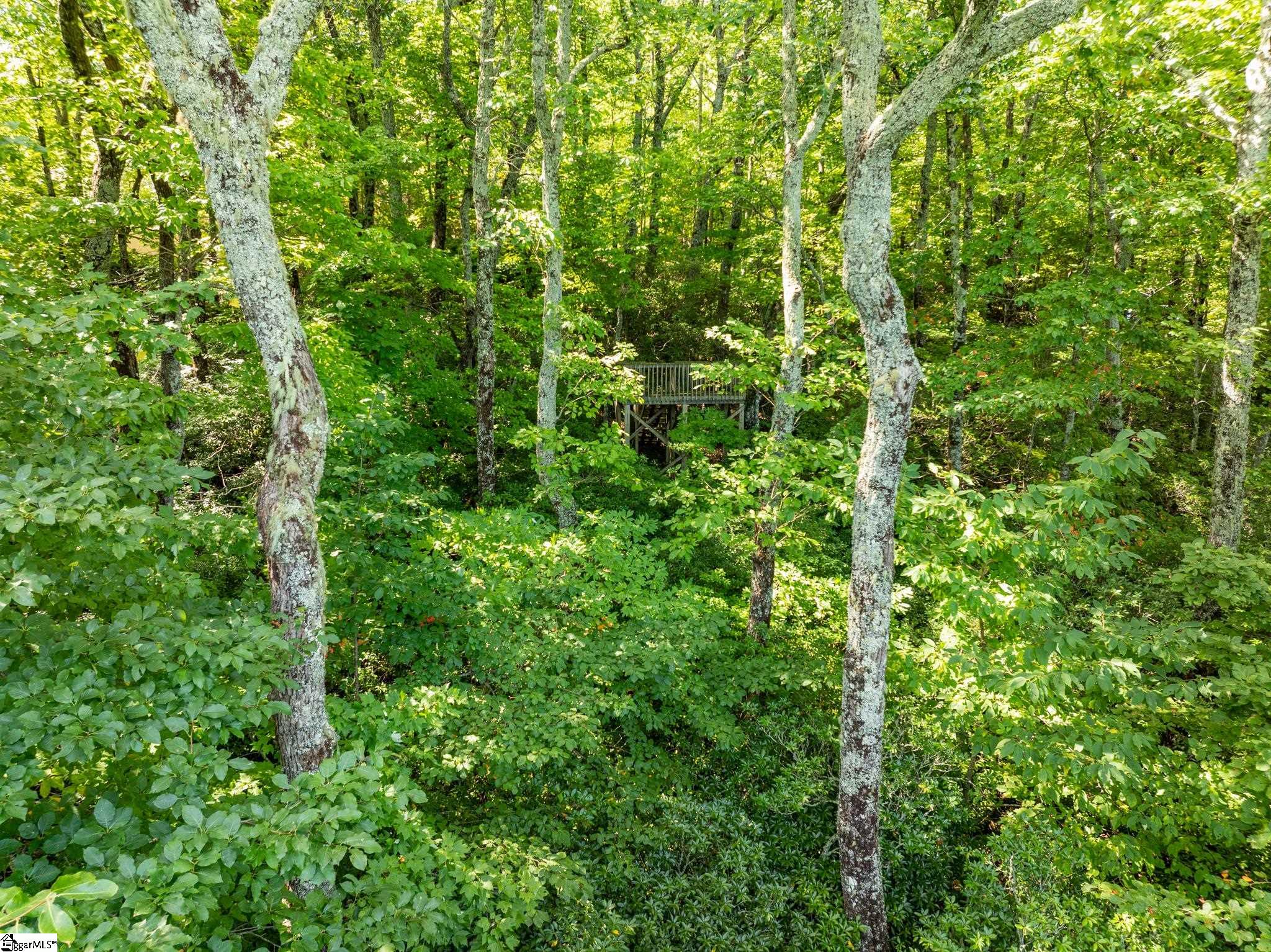 Panther Mountain, Zirconia, North Carolina image 25