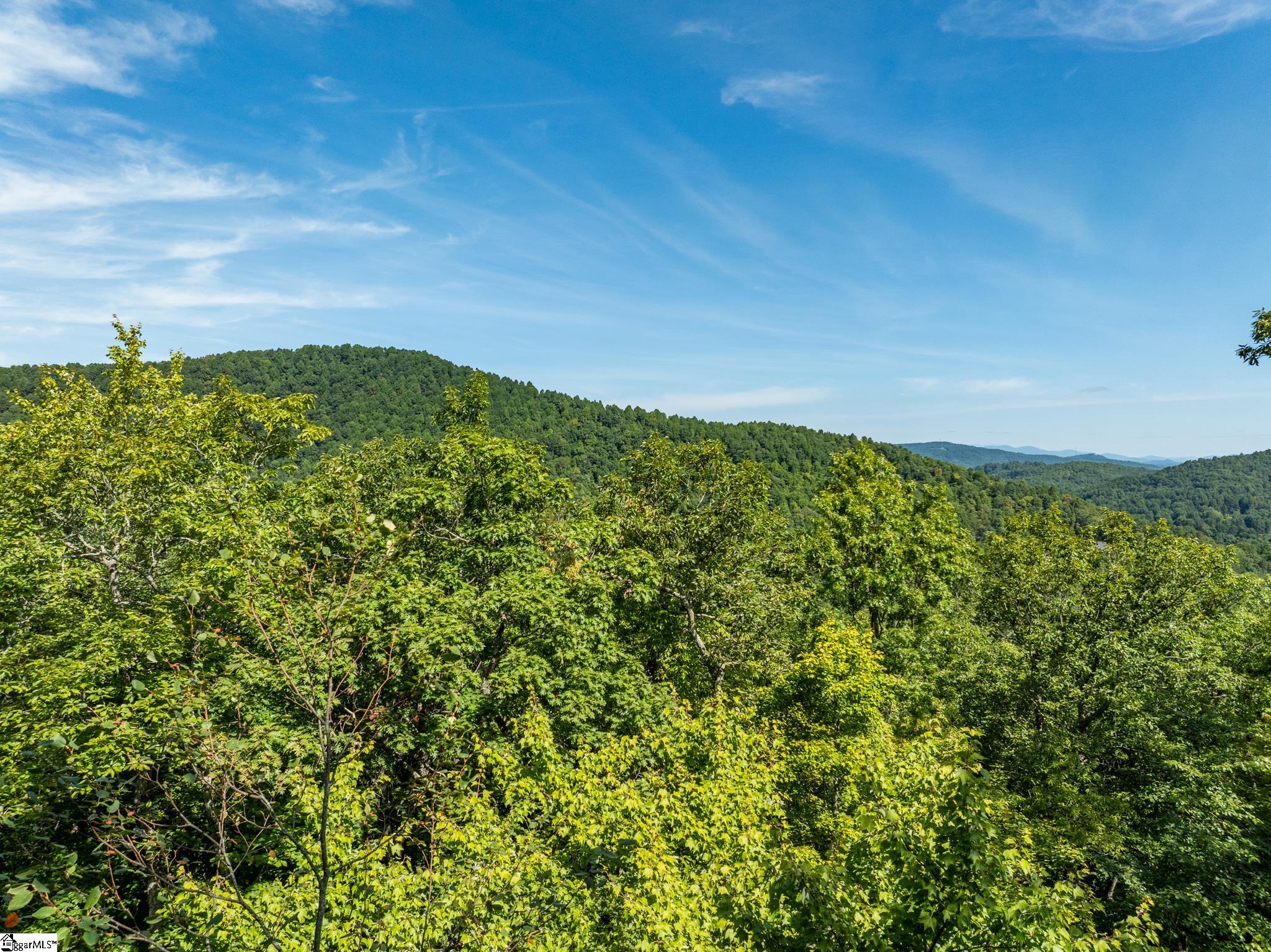 Panther Mountain, Zirconia, North Carolina image 26