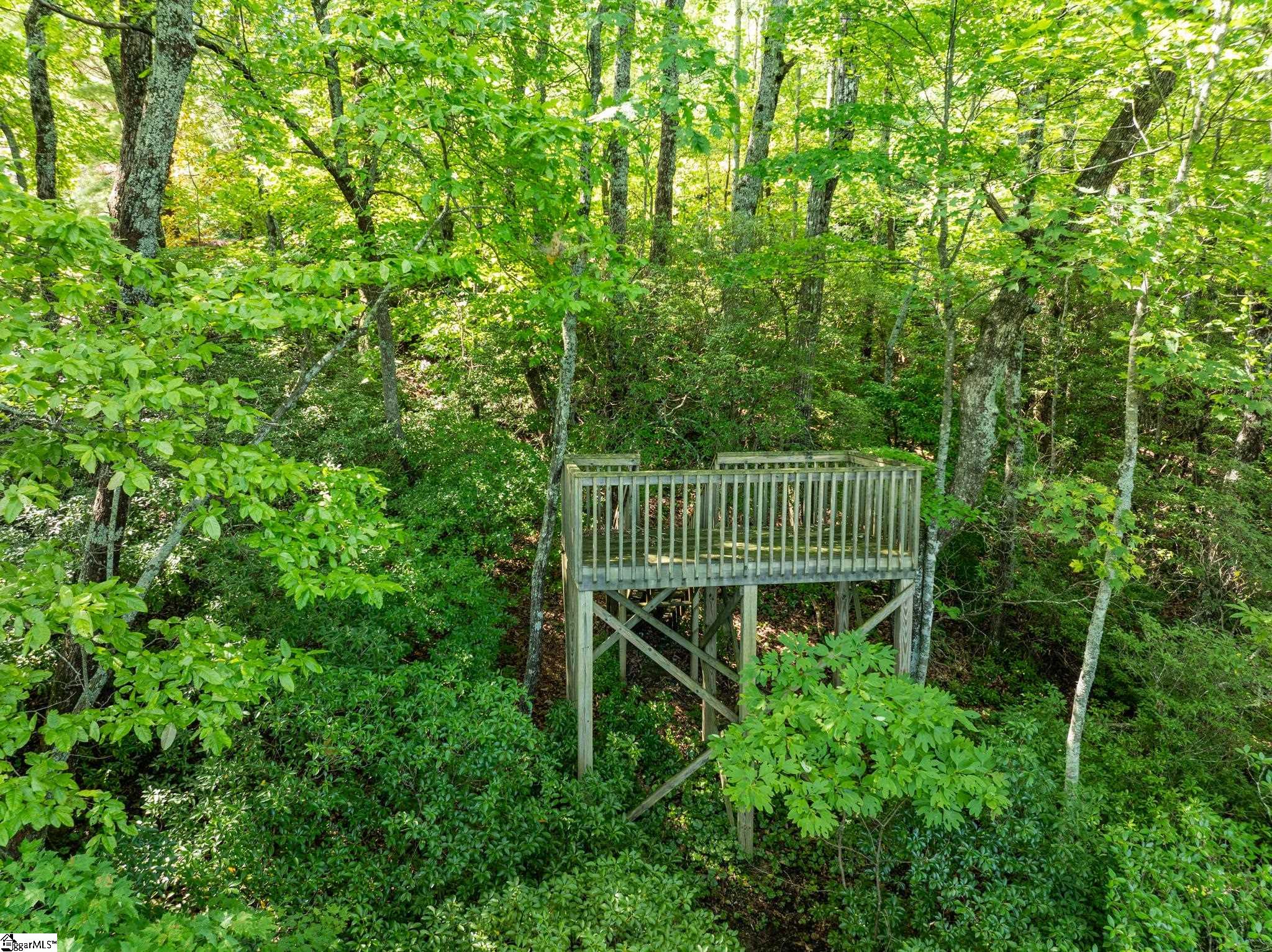Panther Mountain, Zirconia, North Carolina image 27