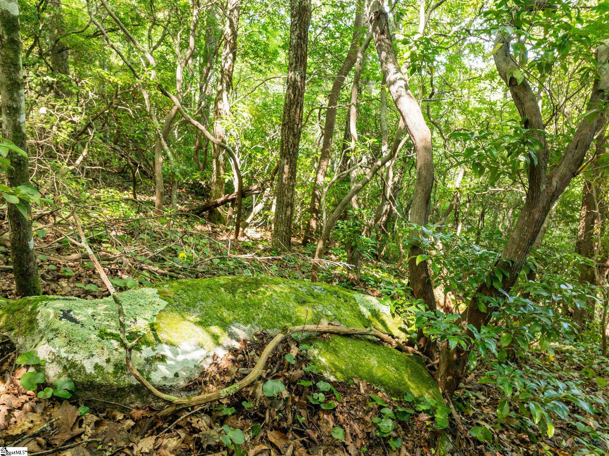 Panther Mountain, Zirconia, North Carolina image 30