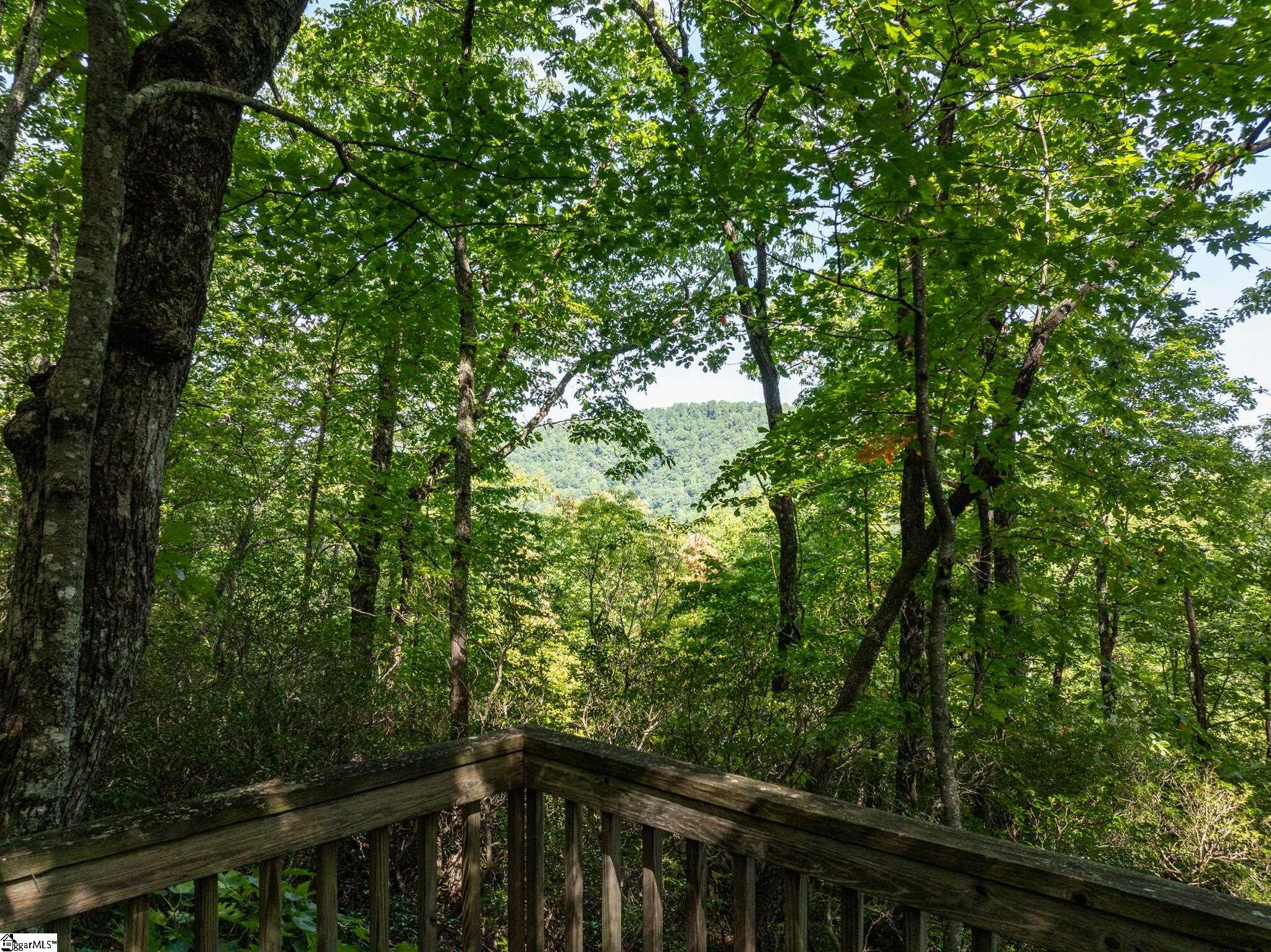 Panther Mountain, Zirconia, North Carolina image 4