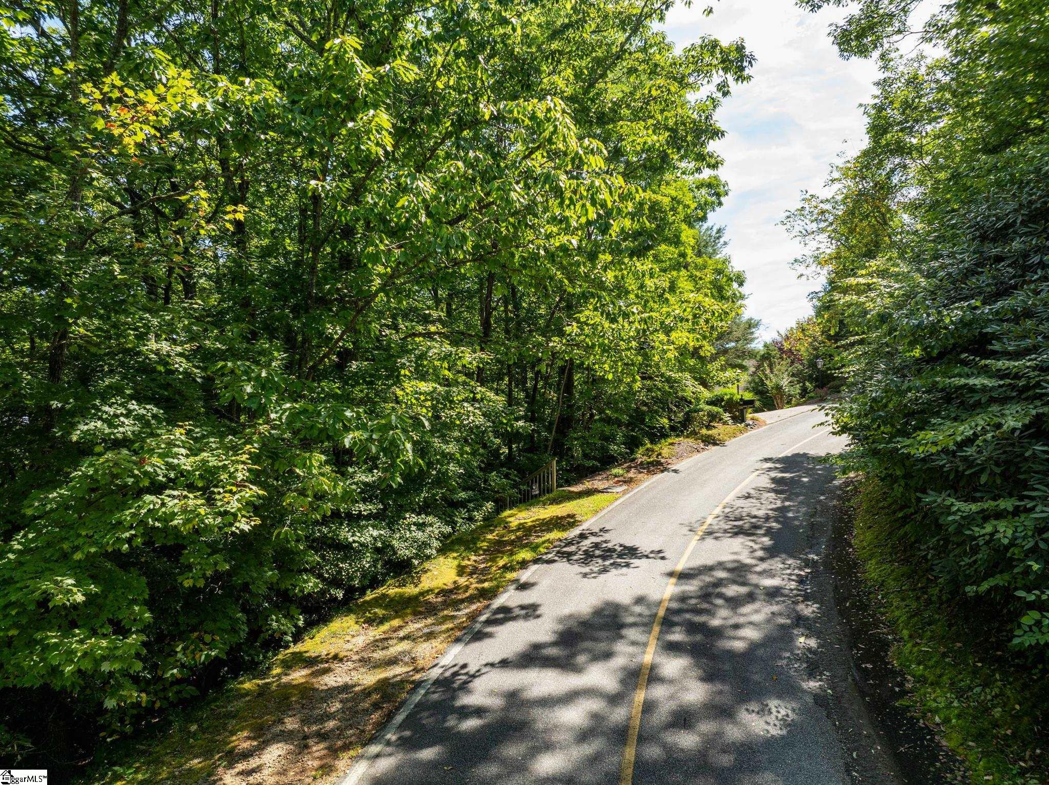 Panther Mountain, Zirconia, North Carolina image 31