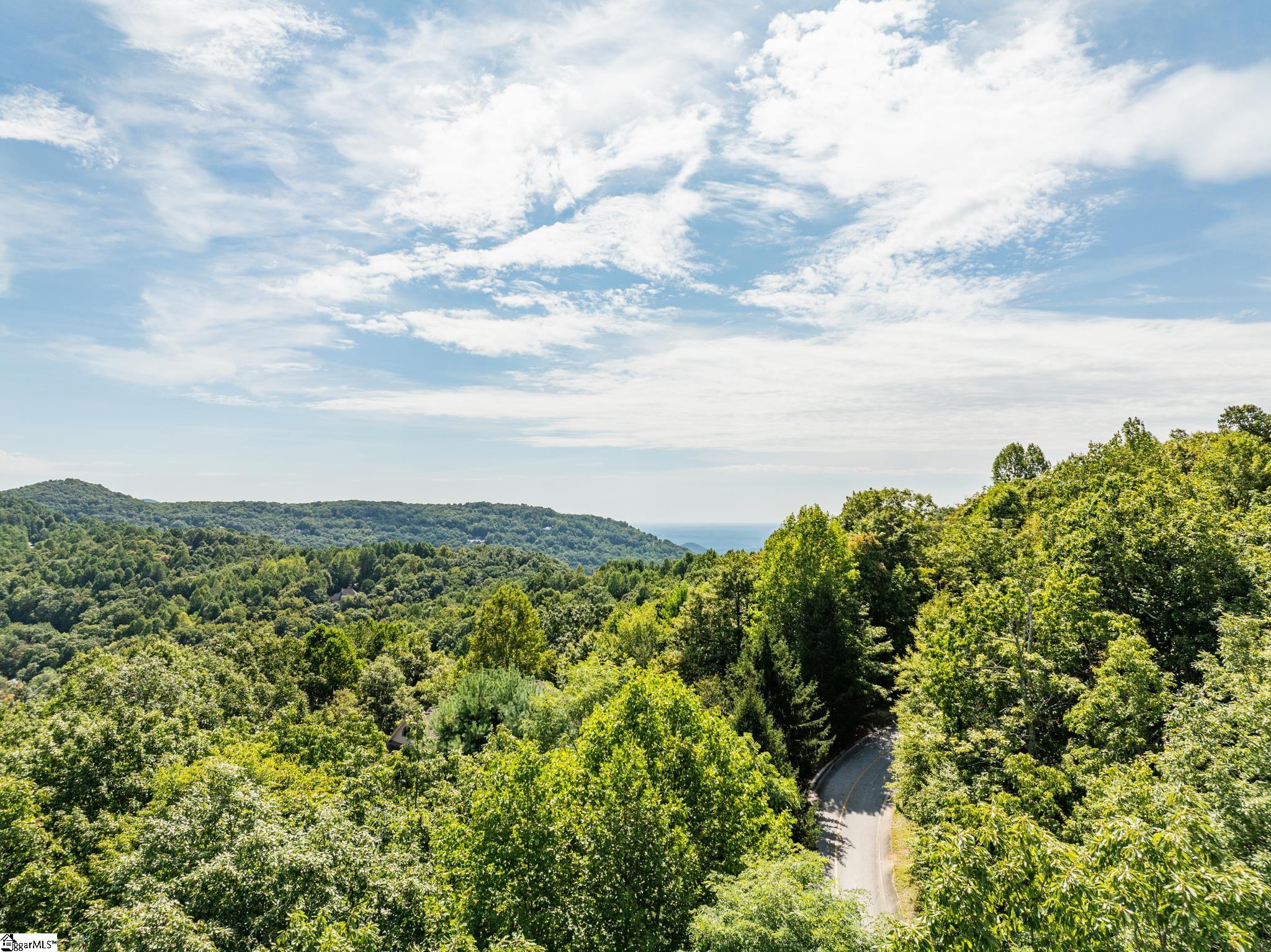 Panther Mountain, Zirconia, North Carolina image 32