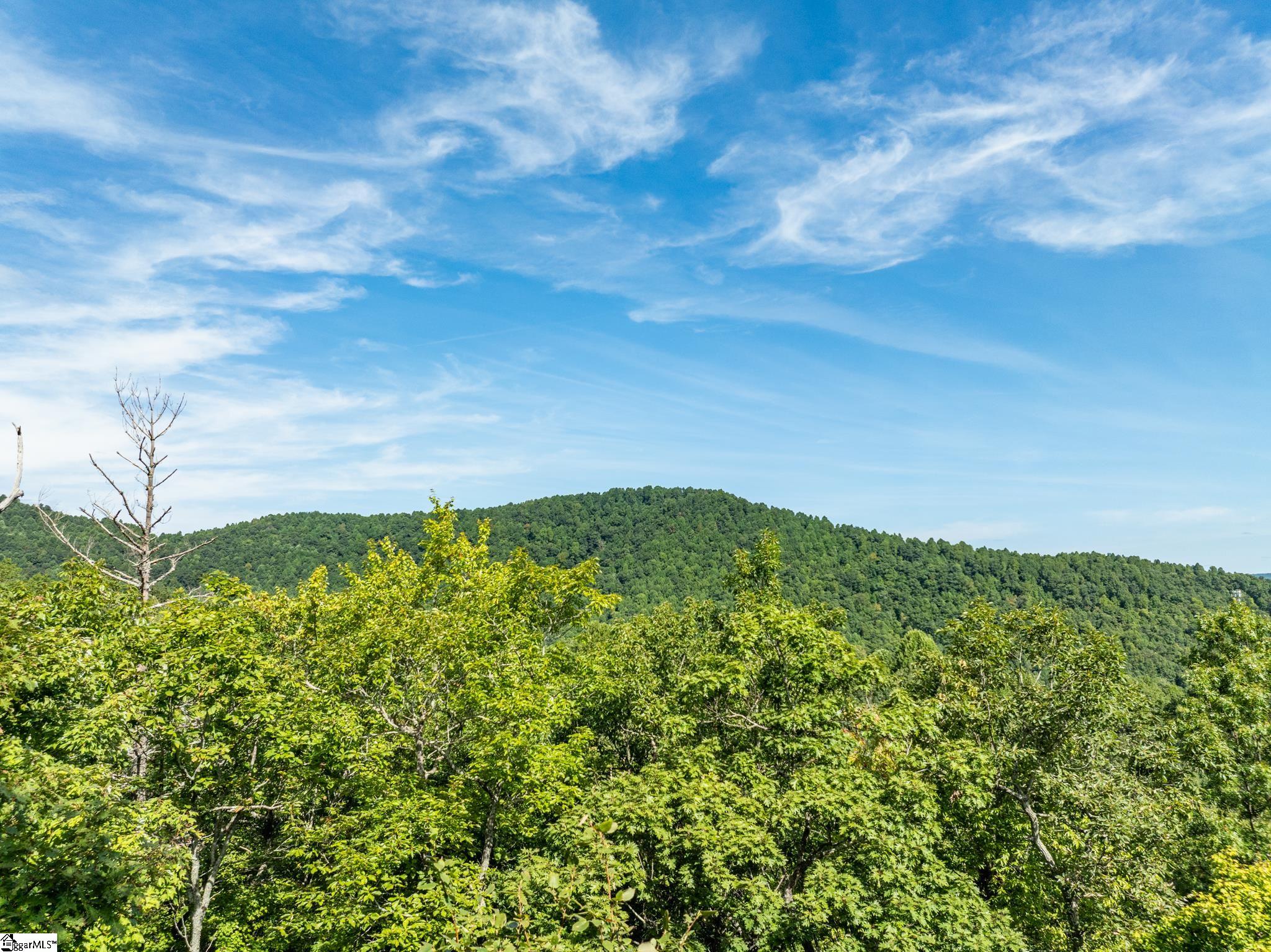 Panther Mountain, Zirconia, North Carolina image 6