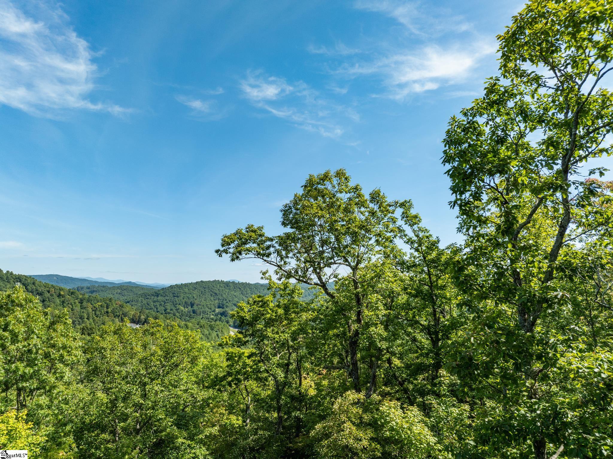 Panther Mountain, Zirconia, North Carolina image 7