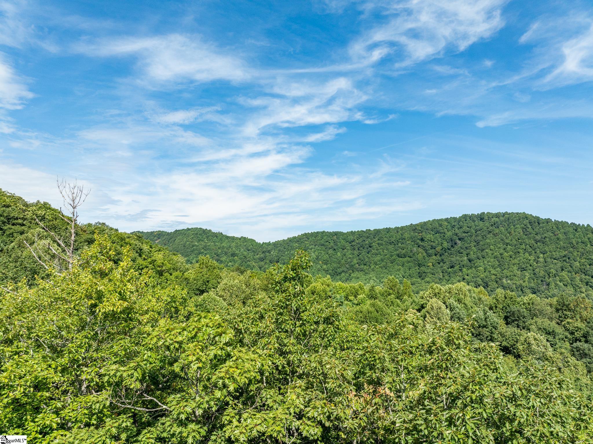 Panther Mountain, Zirconia, North Carolina image 8