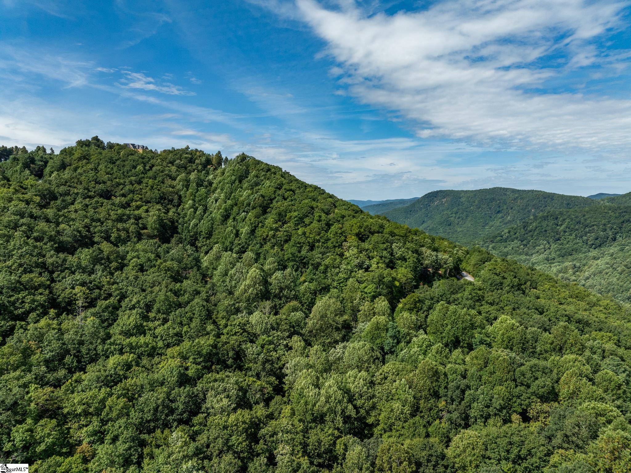 Panther Mountain, Zirconia, North Carolina image 10