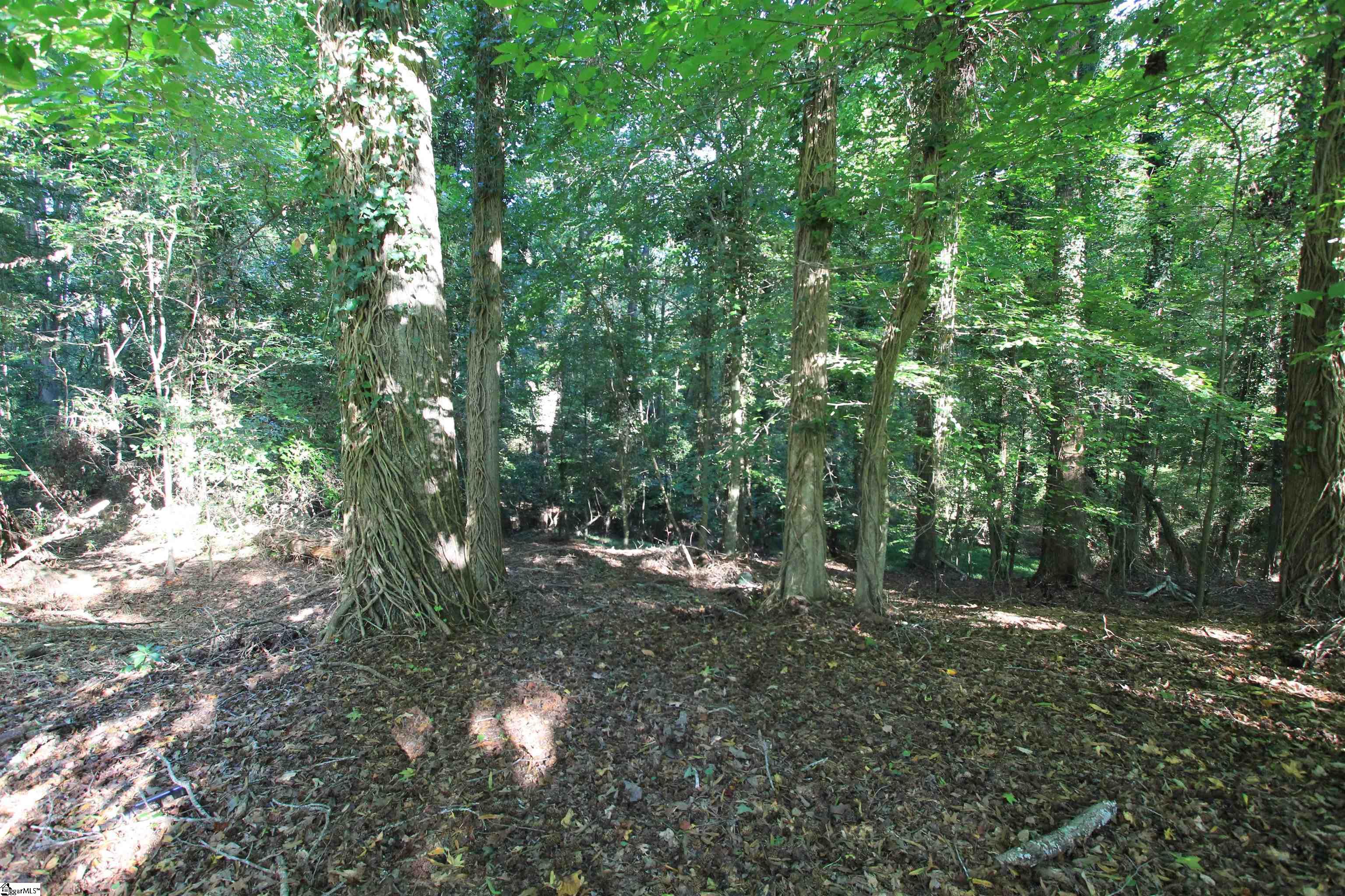E Hayne, Woodruff, South Carolina image 3