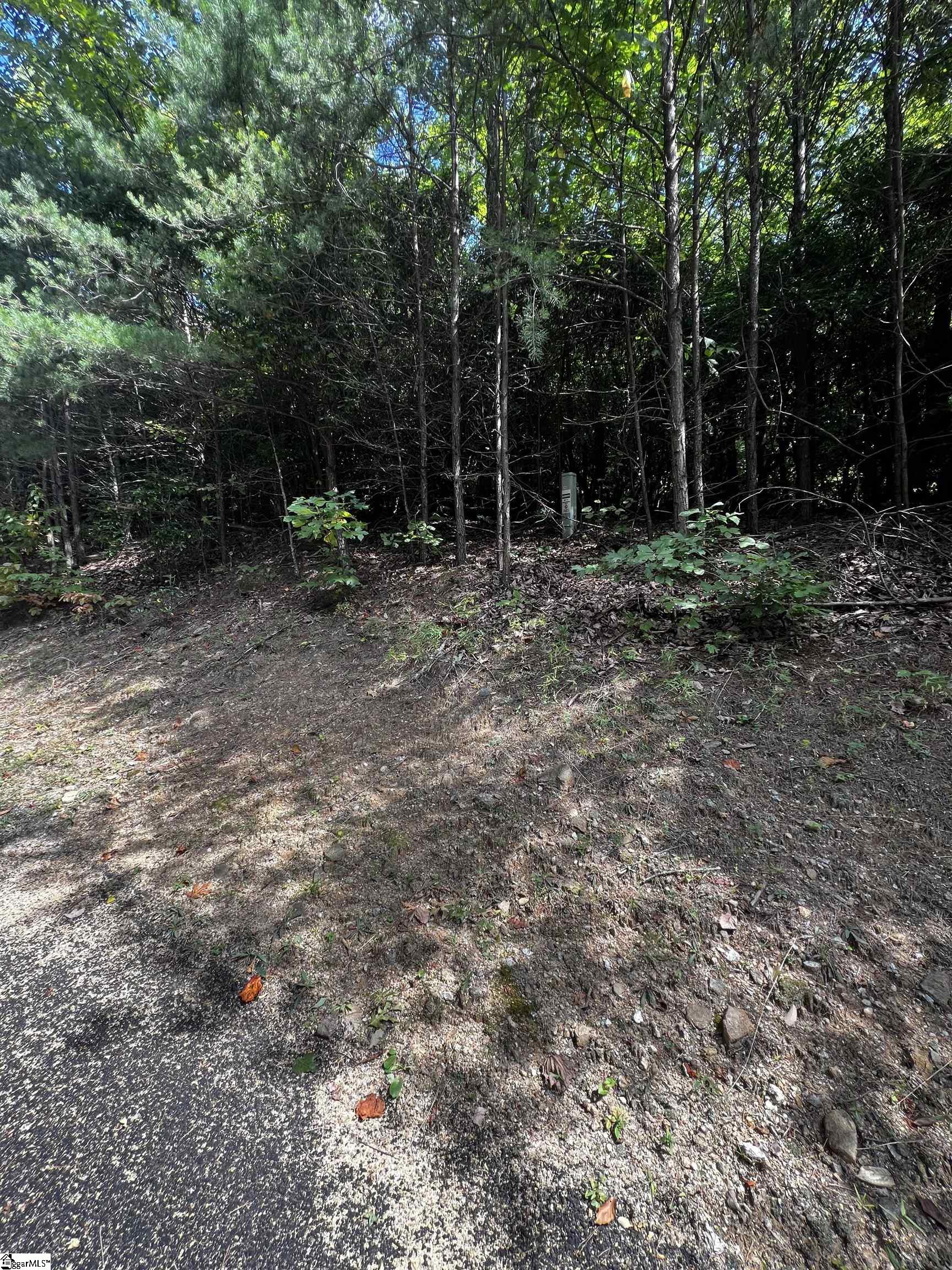 18 High Cliffe, Landrum, South Carolina image 5