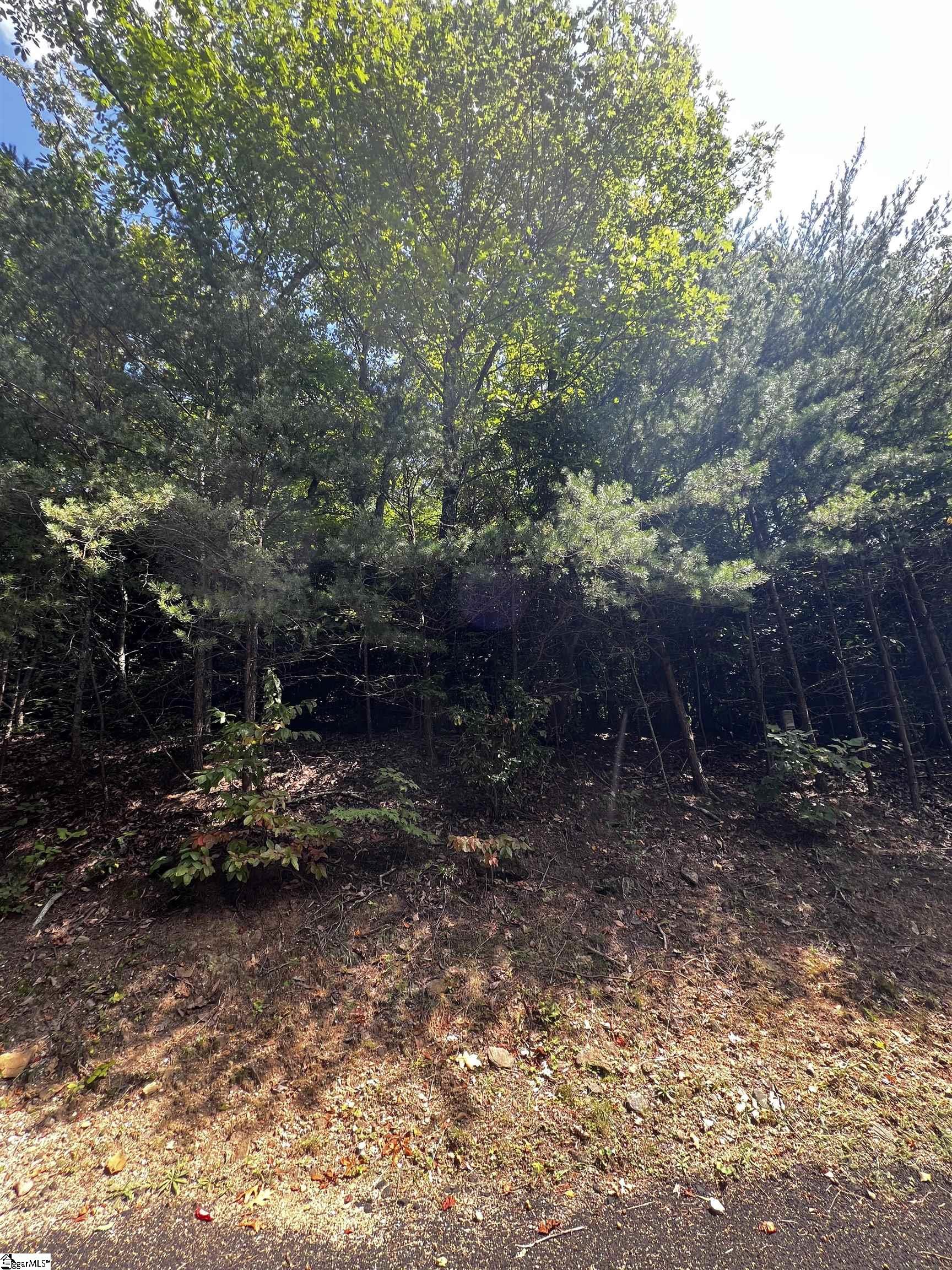 18 High Cliffe, Landrum, South Carolina image 6