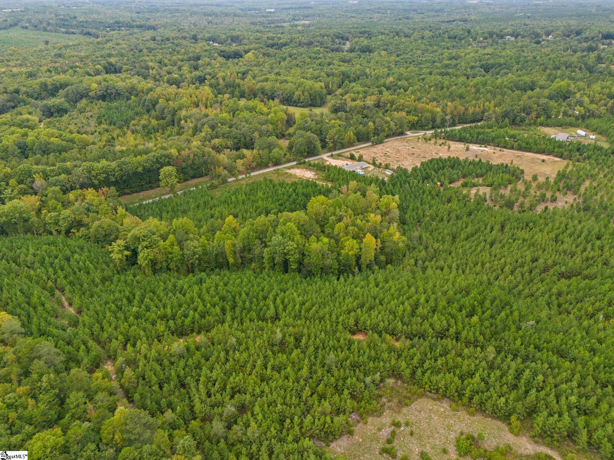 00 Mount Shoals, Enoree, South Carolina image 12