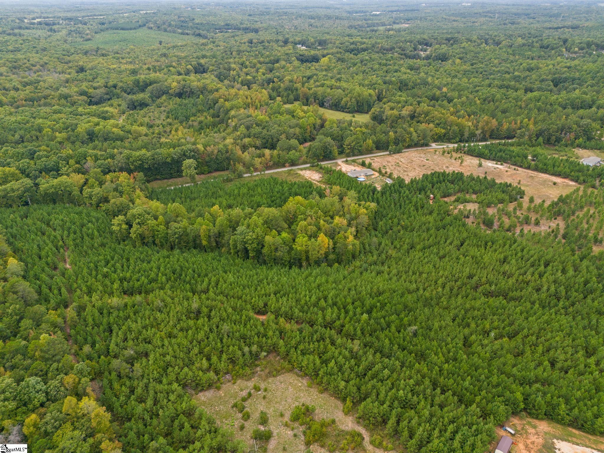 00 Mount Shoals, Enoree, South Carolina image 13