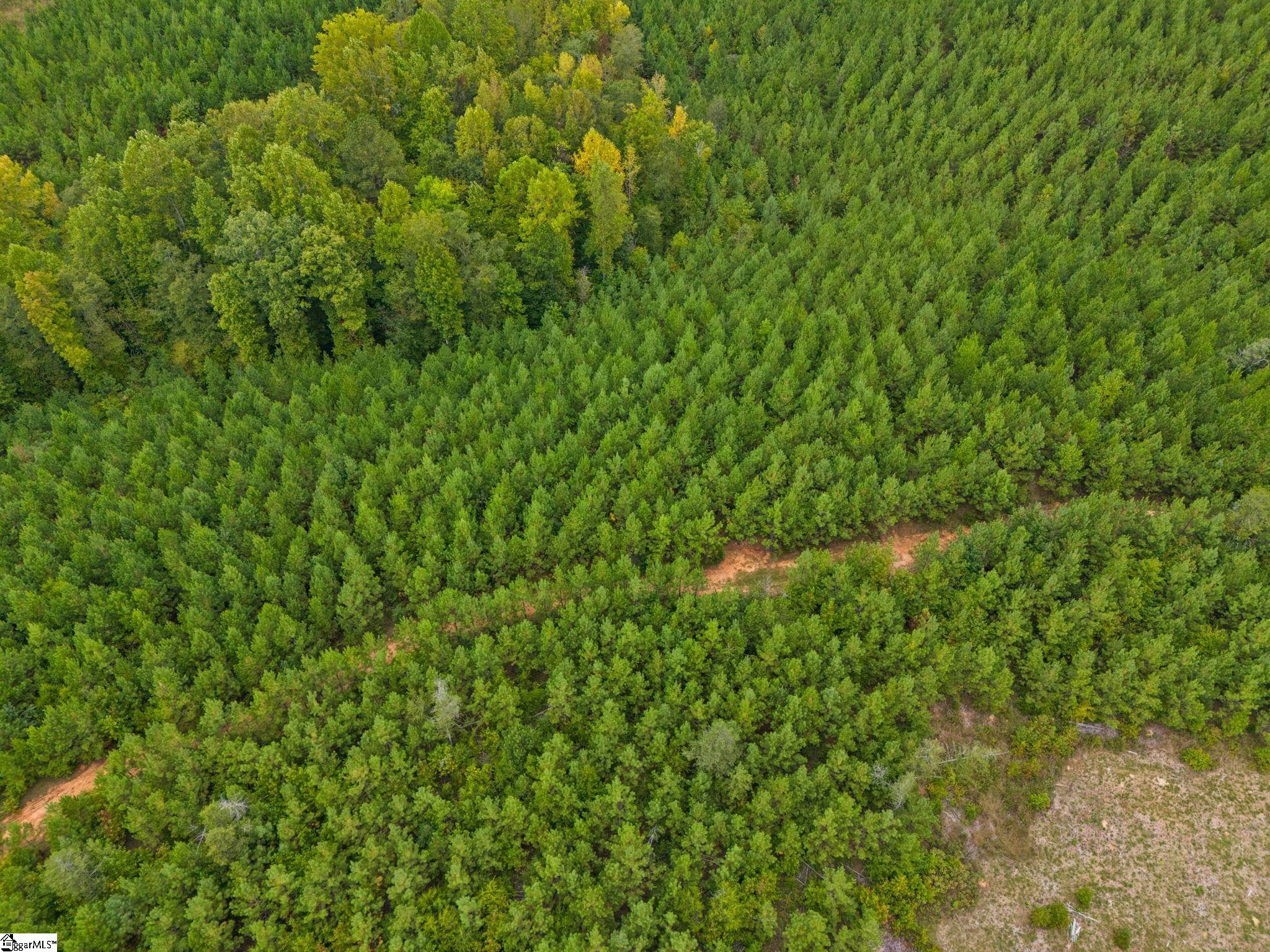 00 Mount Shoals, Enoree, South Carolina image 14
