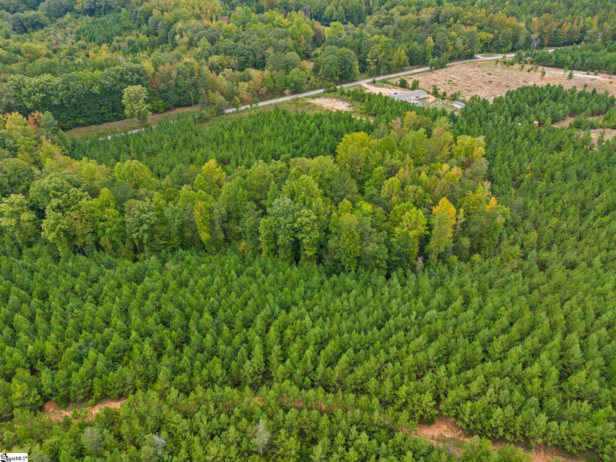 00 Mount Shoals, Enoree, South Carolina image 15