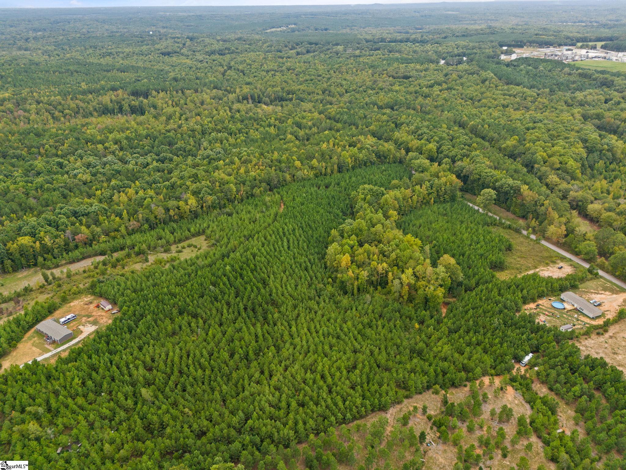 00 Mount Shoals, Enoree, South Carolina image 17