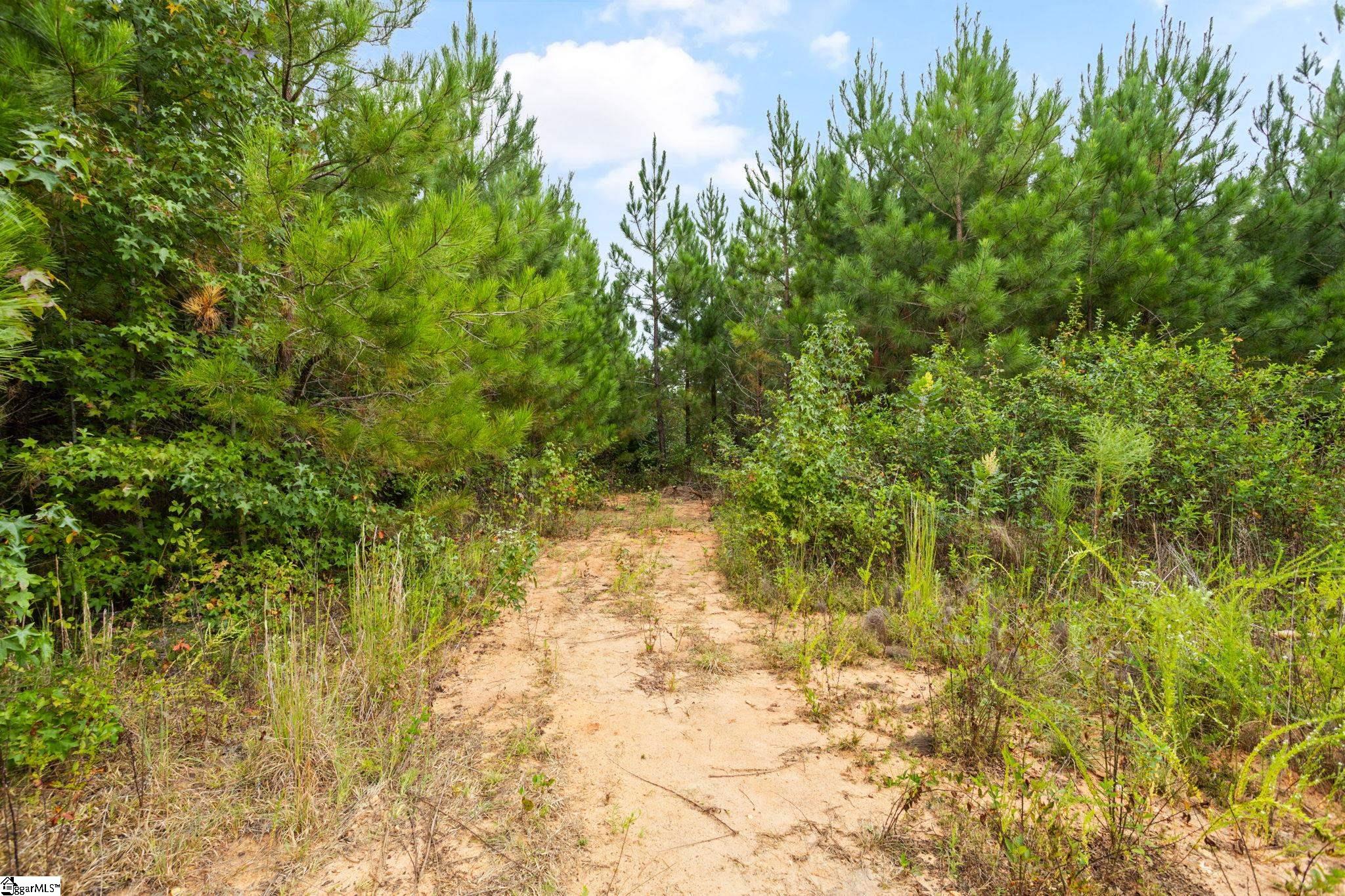 00 Mount Shoals, Enoree, South Carolina image 8