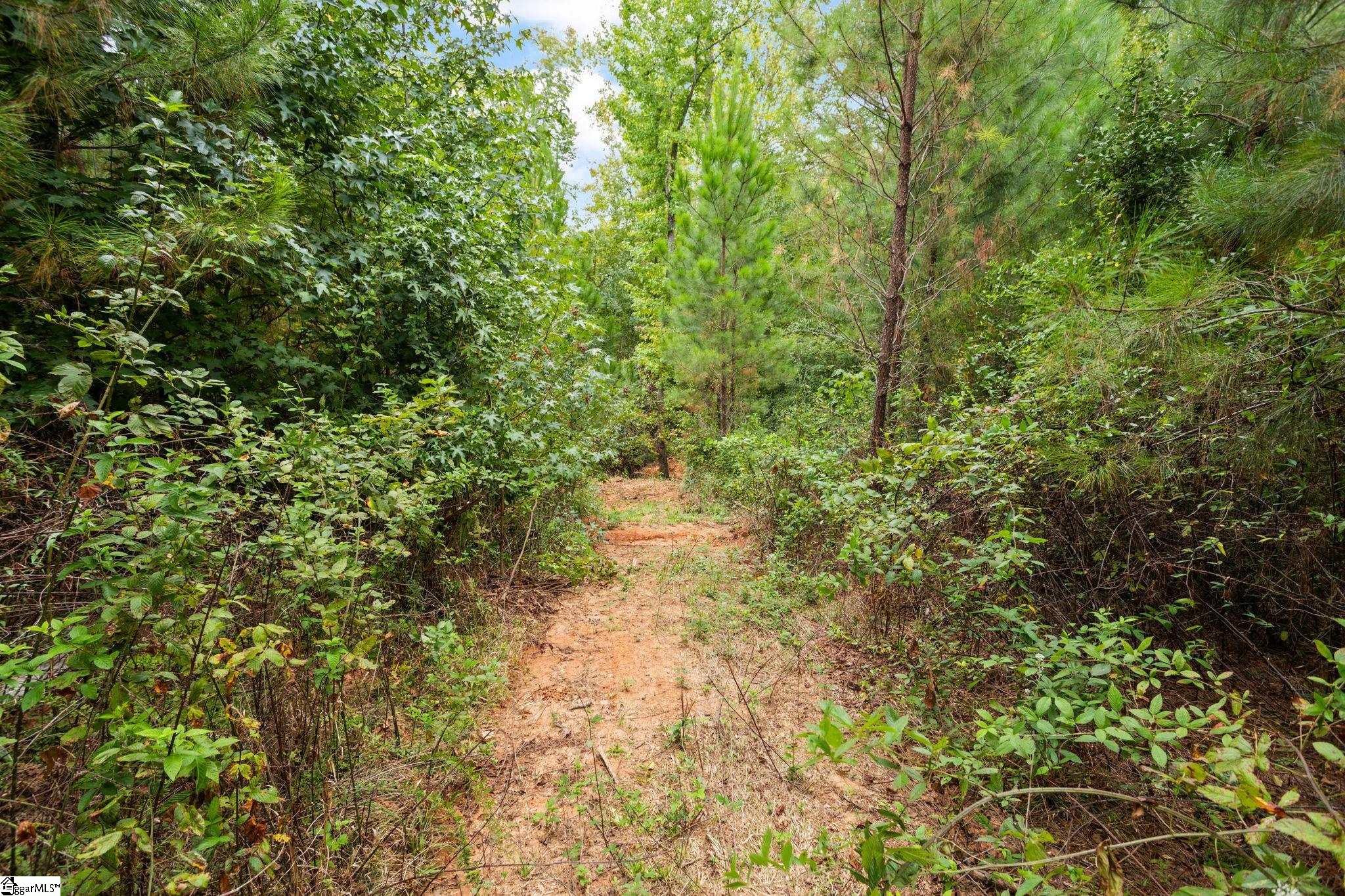 00 Mount Shoals, Enoree, South Carolina image 9