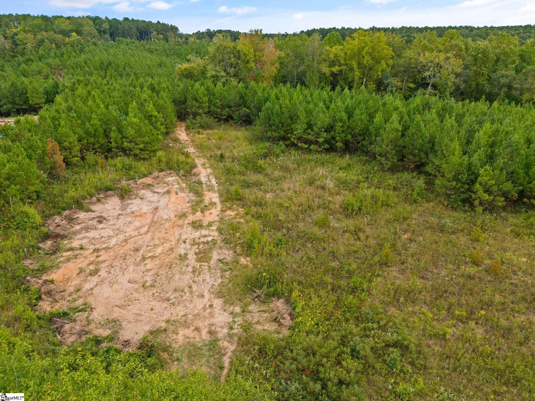 00 Mount Shoals, Enoree, South Carolina image 10