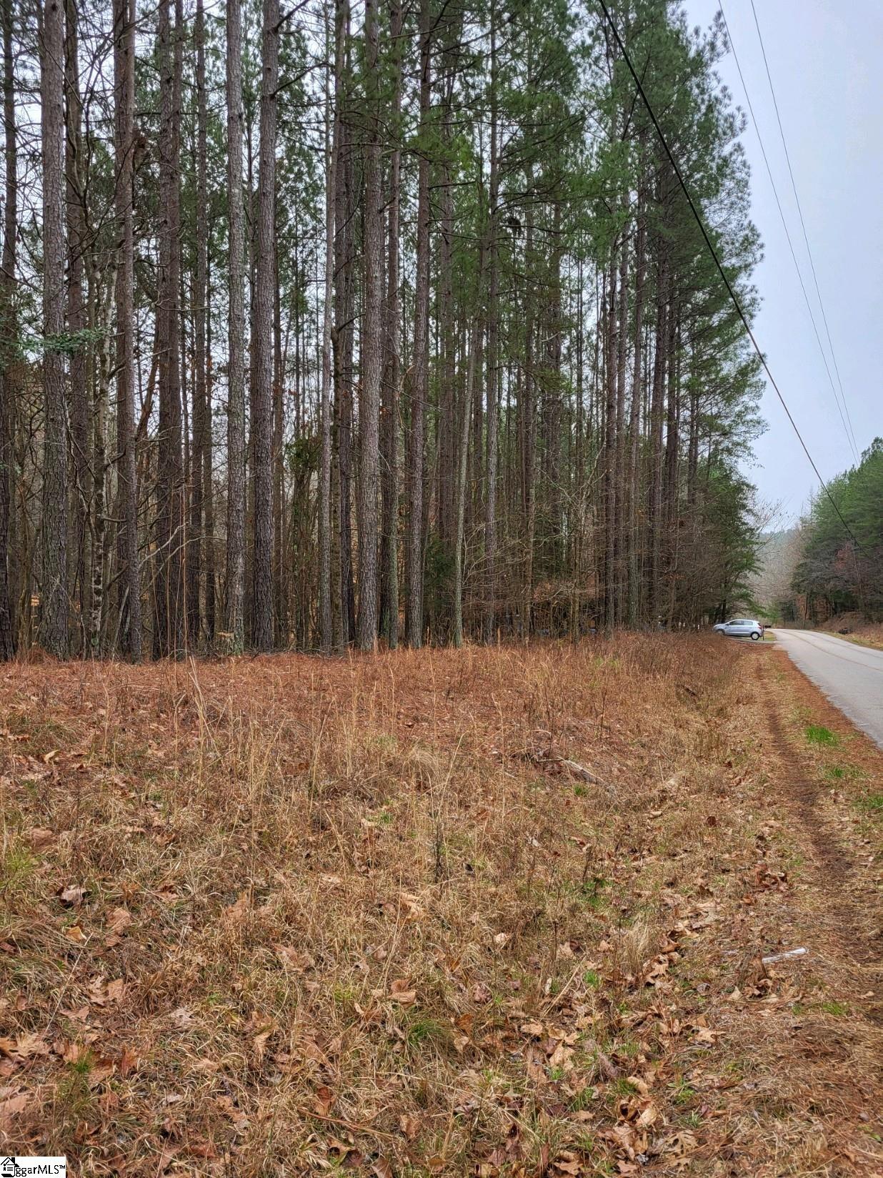 461 Cowford Bridge, Spartanburg, South Carolina image 3