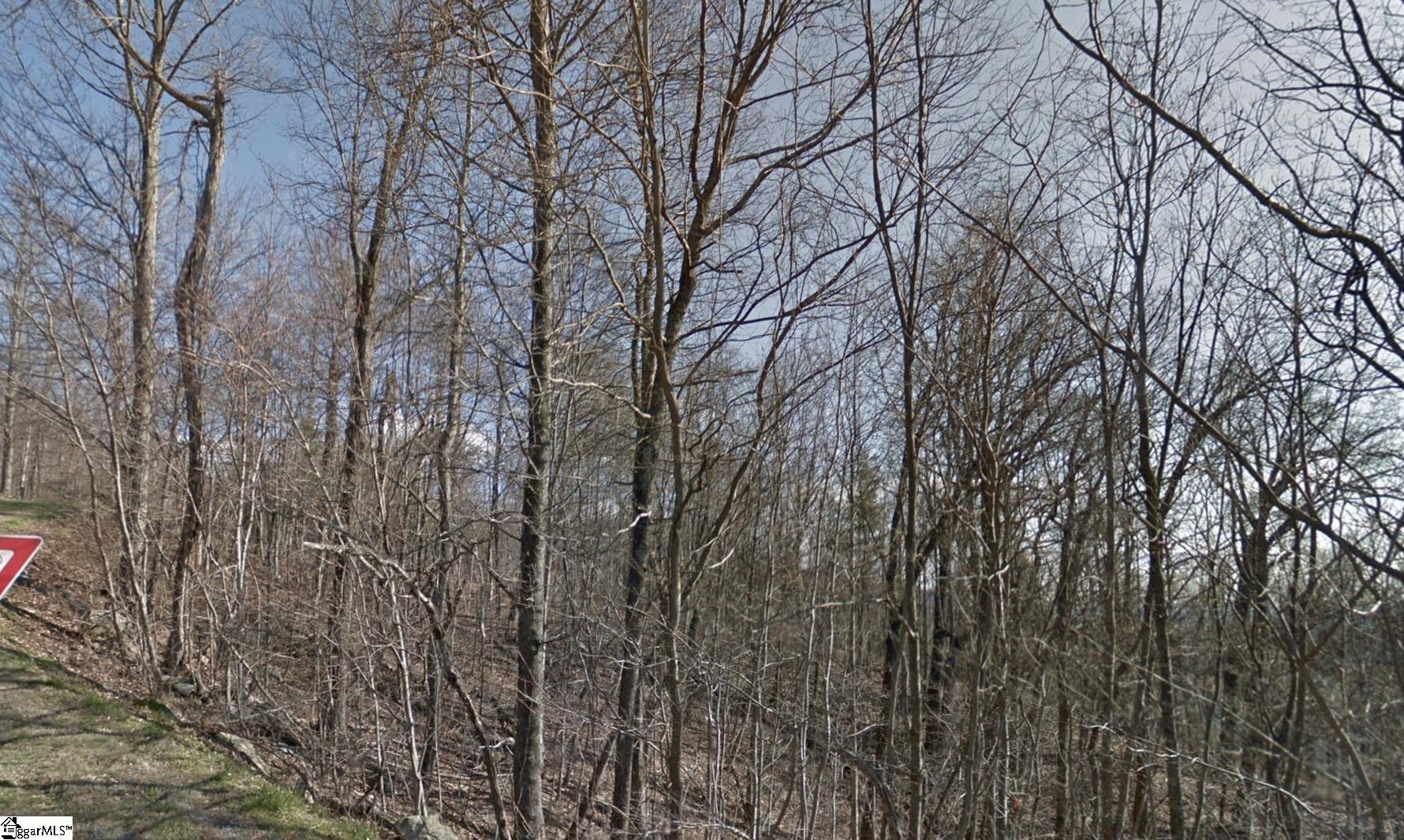 52 Foggy Cut, Landrum, South Carolina image 2