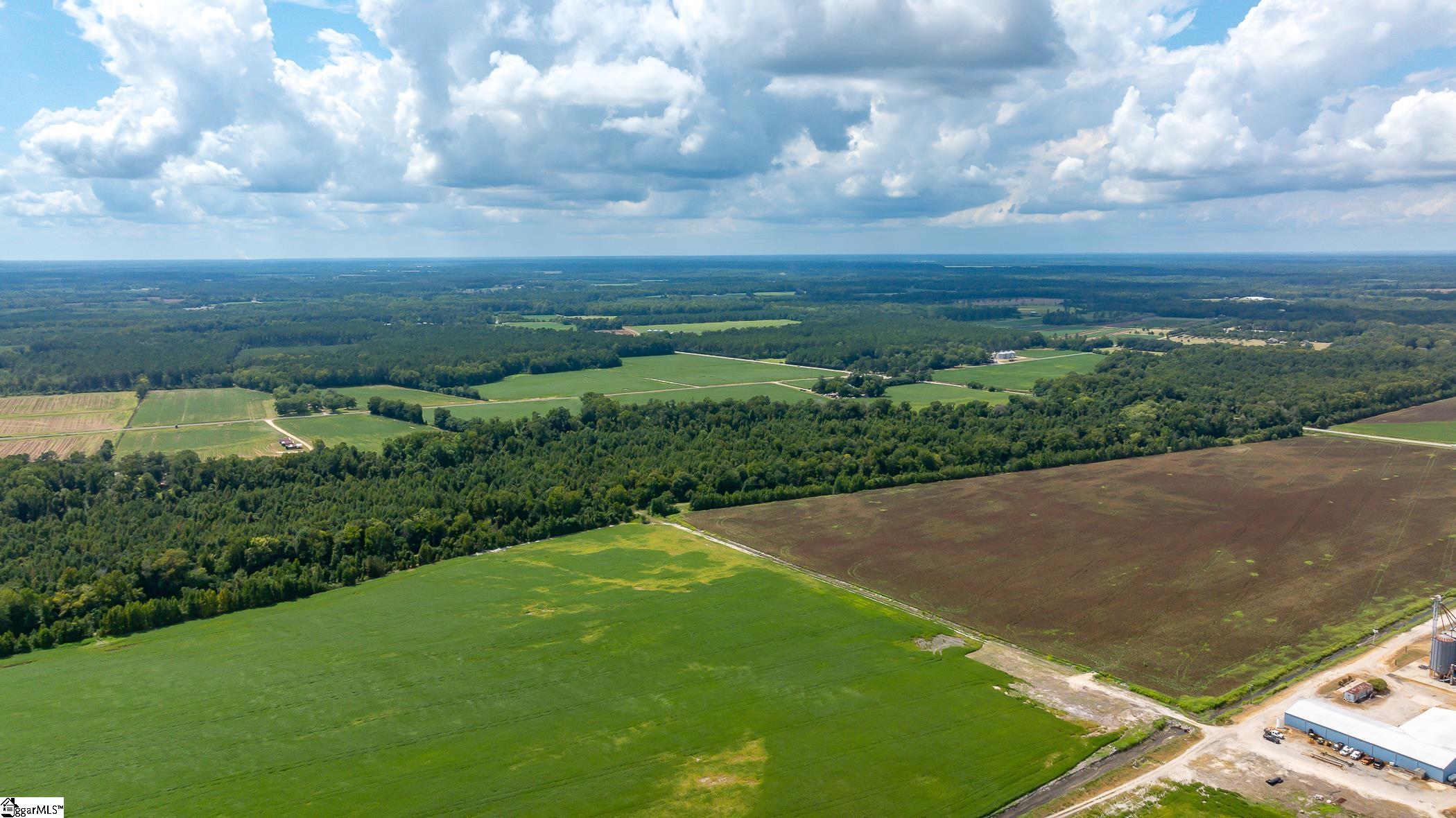 10988 Us-301, Manning, South Carolina image 24