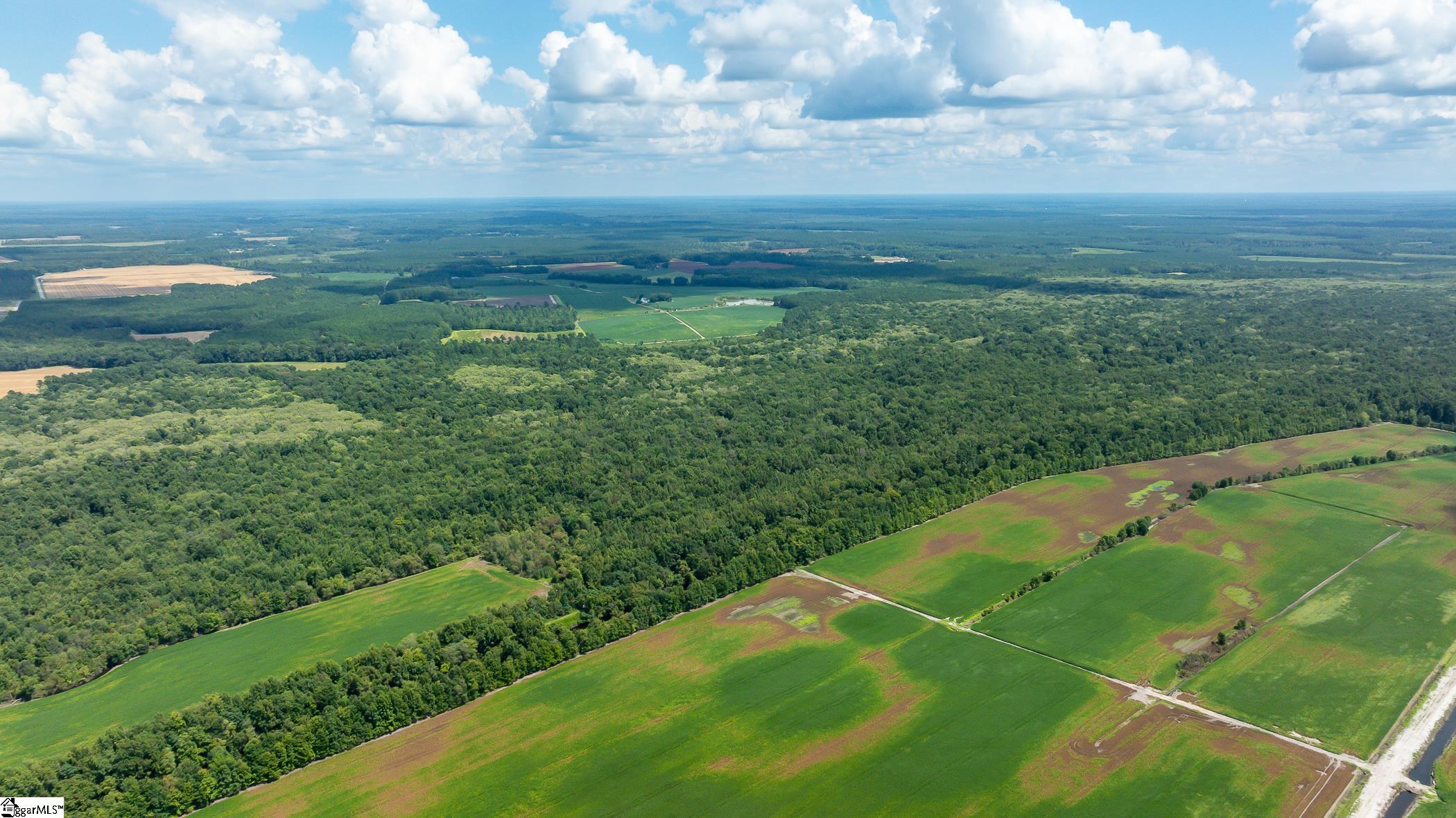 10988 Us-301, Manning, South Carolina image 33