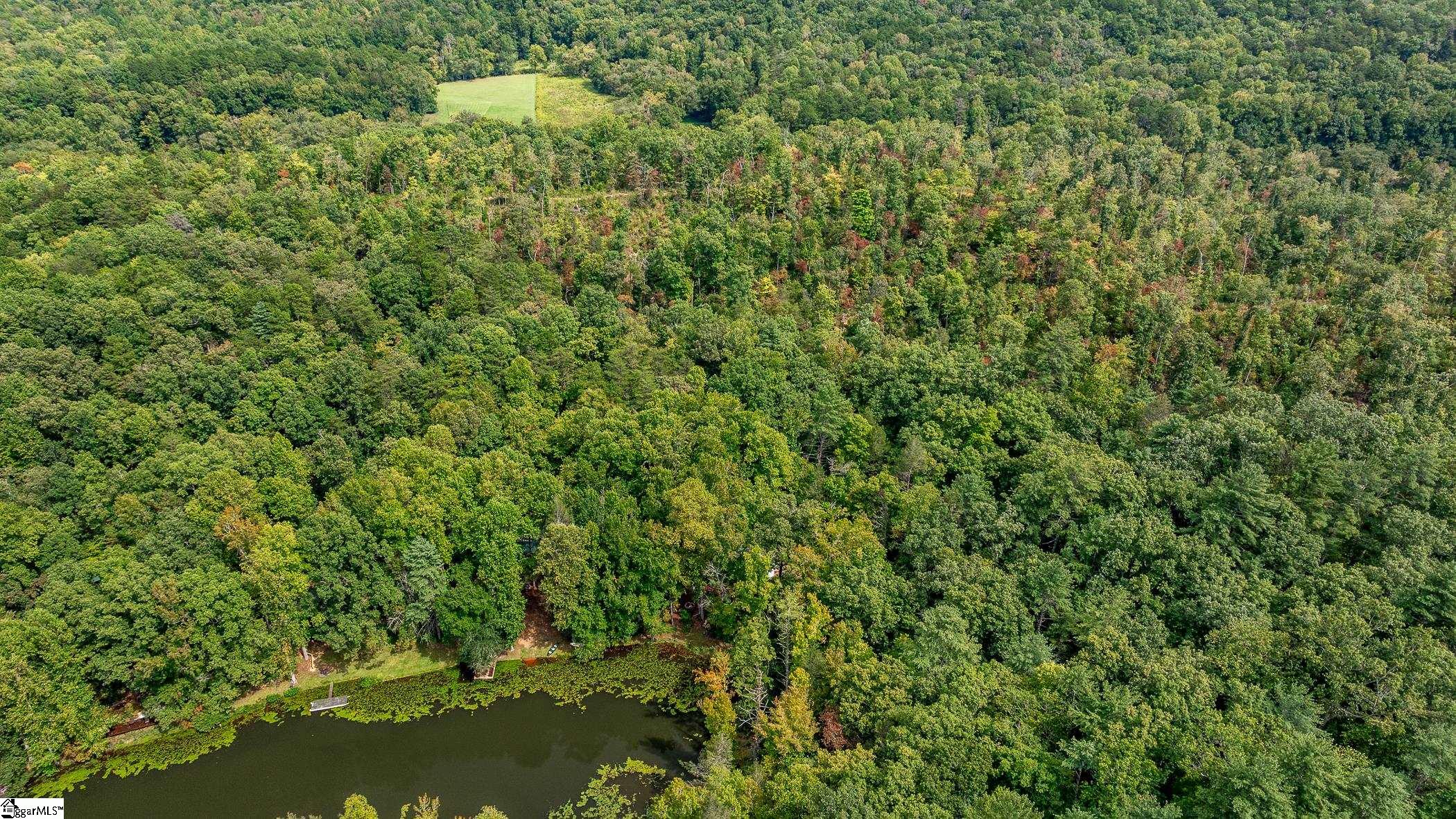 Pinnacle Lake, Marietta, South Carolina image 28